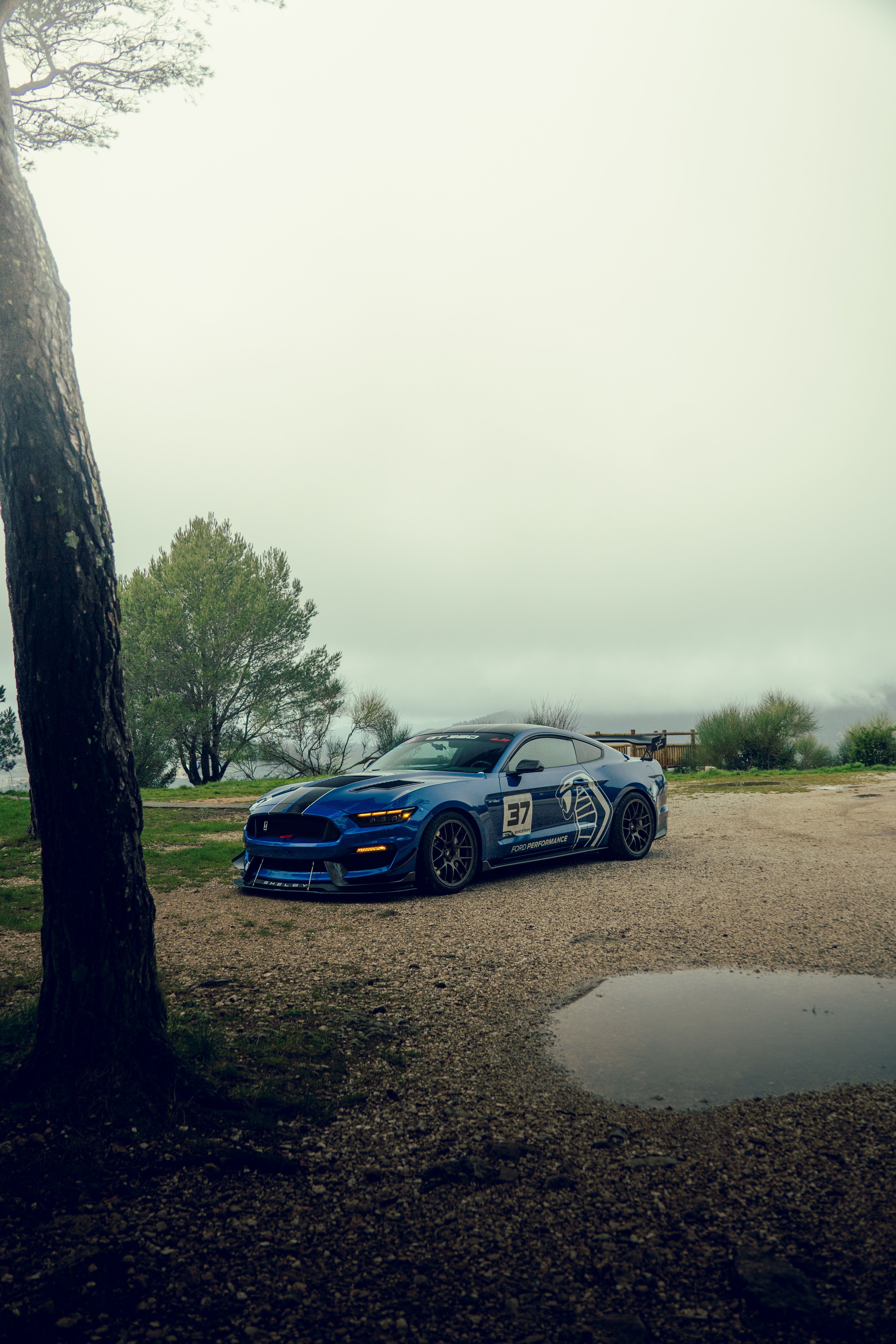 Blue Ford Mustang - EC-7 in Satin Bronze