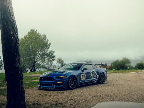 Blue Ford Mustang - EC-7 in Satin Bronze