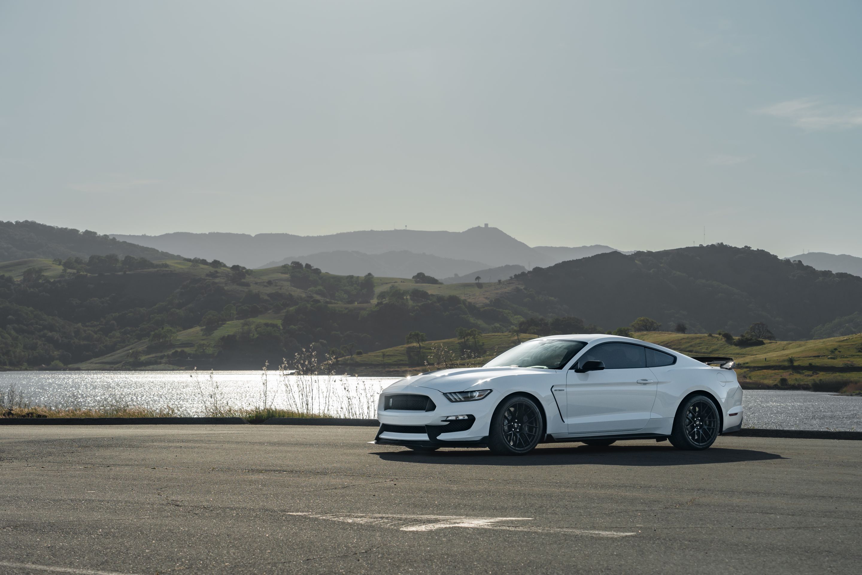 White Ford S550 Mustang GT350 with 19" EC-7RS Apex wheels in Satin Black