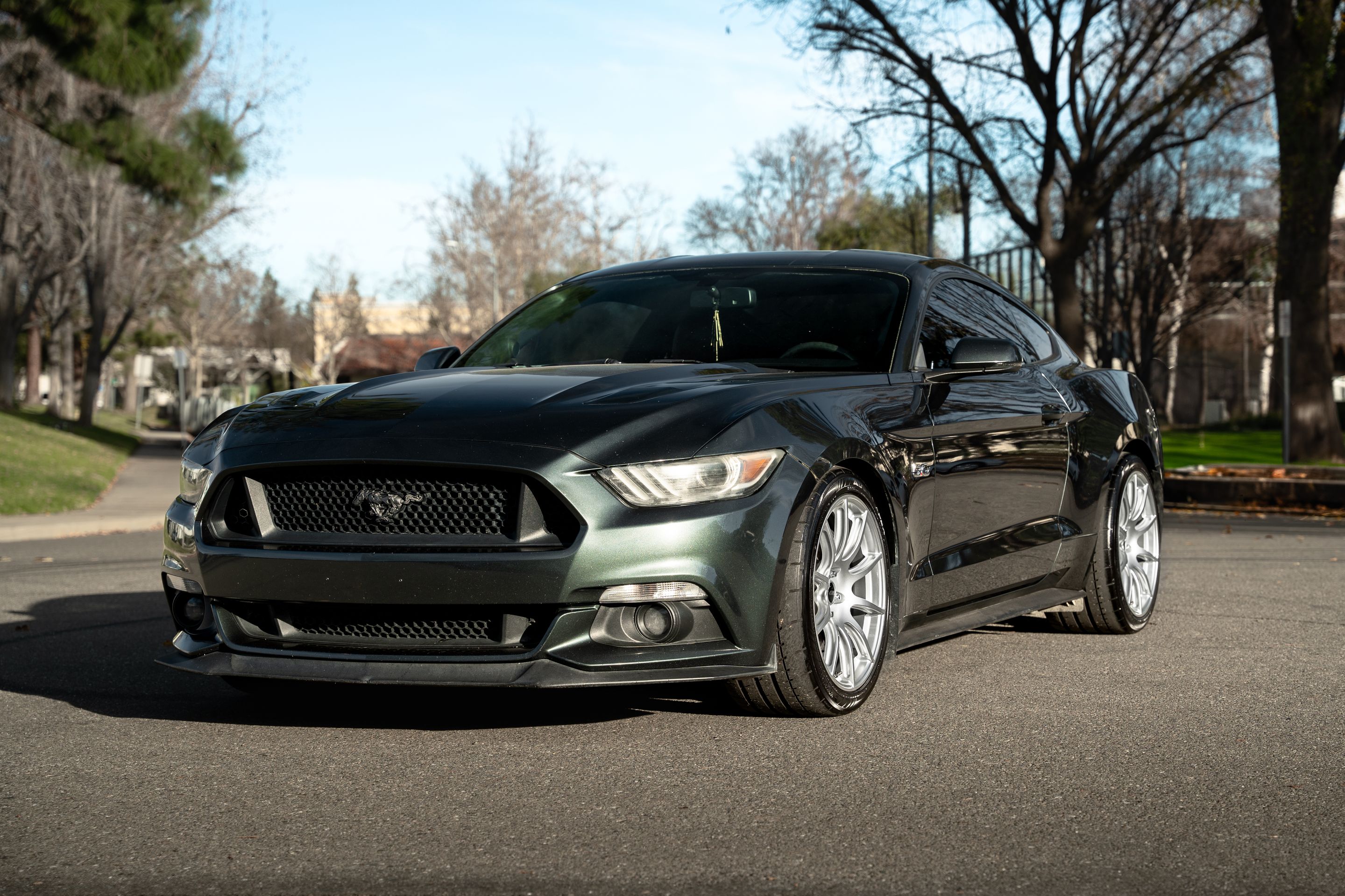 Green Ford S550 Mustang GT with 19" SM-10 Apex wheels in Race Silver