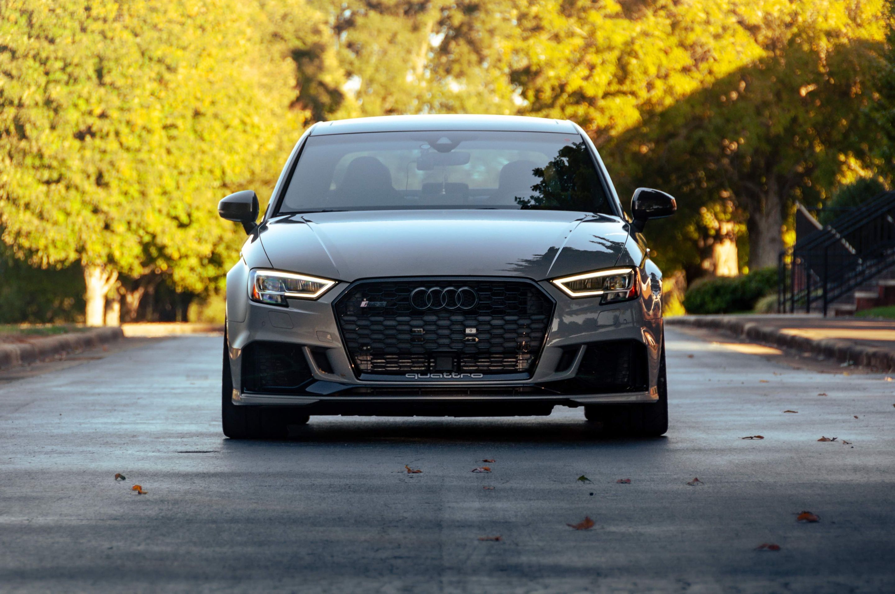 Grey Audi 8V RS 3 with 18" SM-10 Apex wheels in Satin Bronze
