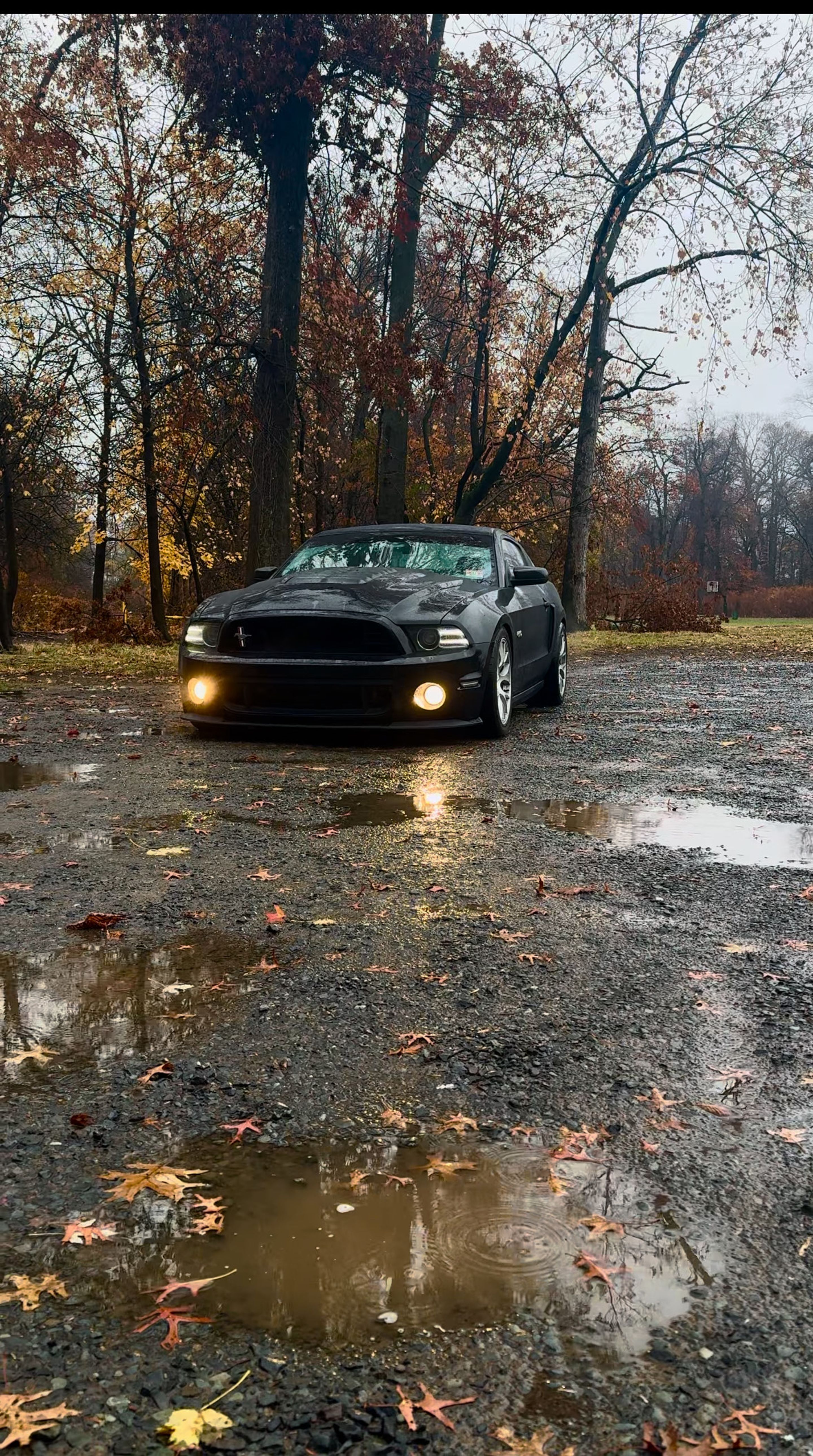 Black Ford S197 Mustang GT with 18" EC-7 Apex wheels in Race Silver