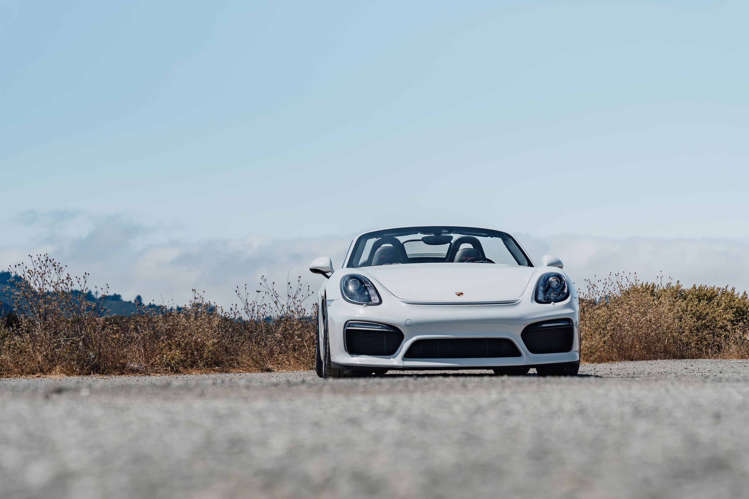 White Porsche 981 Spyder with 19" VS-5RS Apex wheels in Anthracite