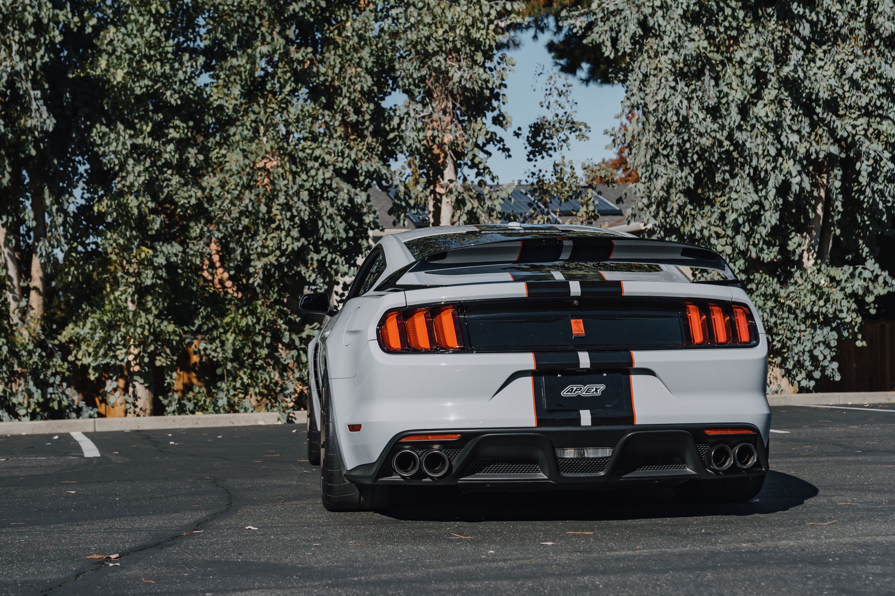Grey Ford S550 Mustang GT350R with 19" SM-10RS Apex wheels in Satin Bronze