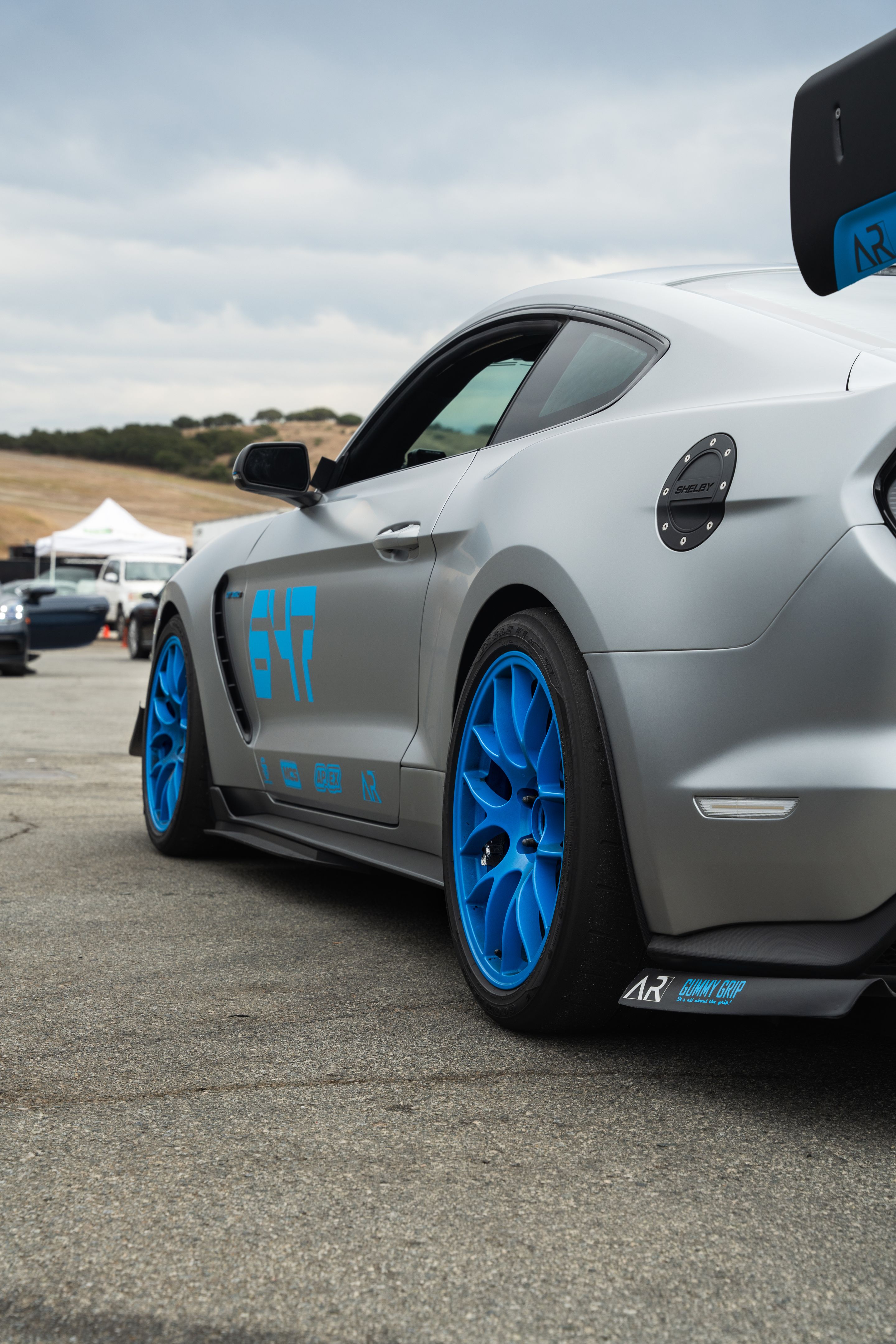 Silver Ford S550 Mustang GT350 with 19" EC-7 Apex wheels in Custom Finish
