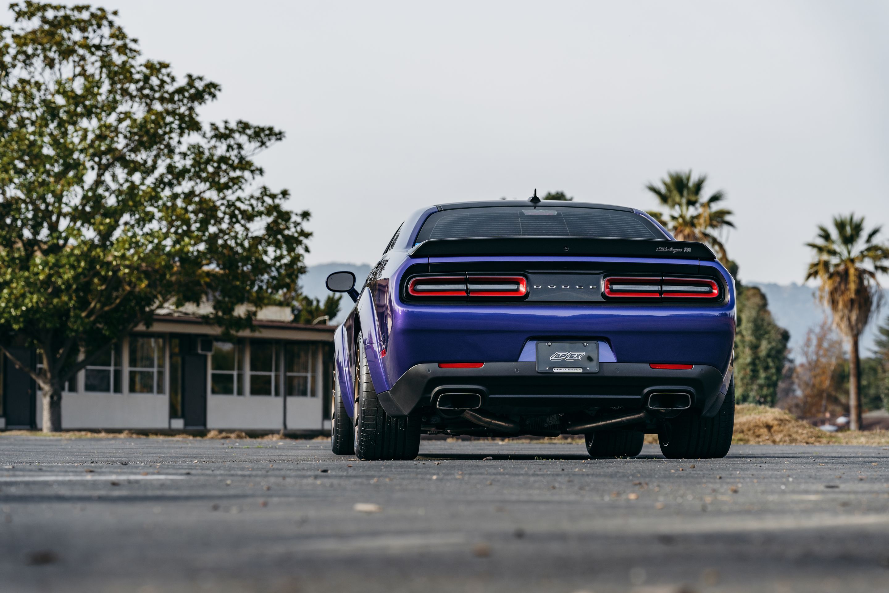 Purple Dodge Challenger R/T Scat Pack Widebody with 20" VS-5RS Apex wheels in Satin Bronze