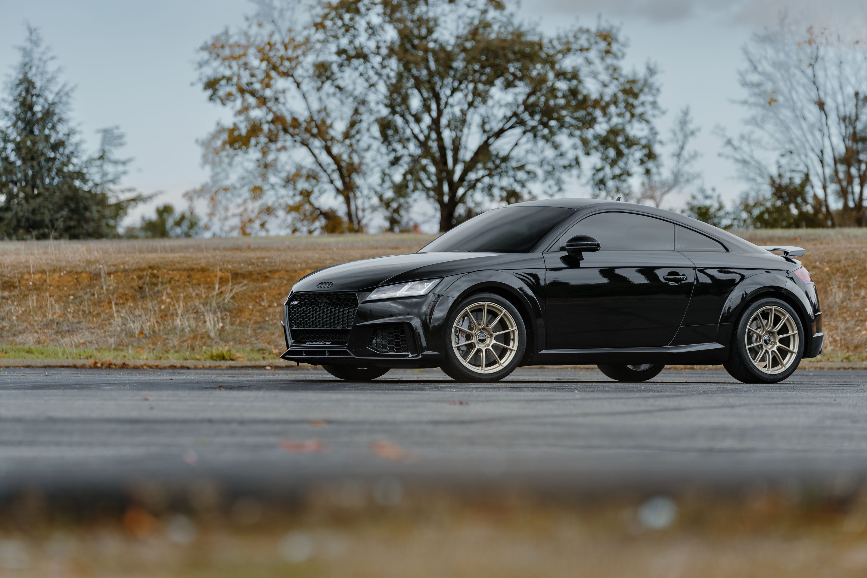 Black Audi FV/8S TT RS with 18" SM-10RS Apex wheels in Motorsport Gold