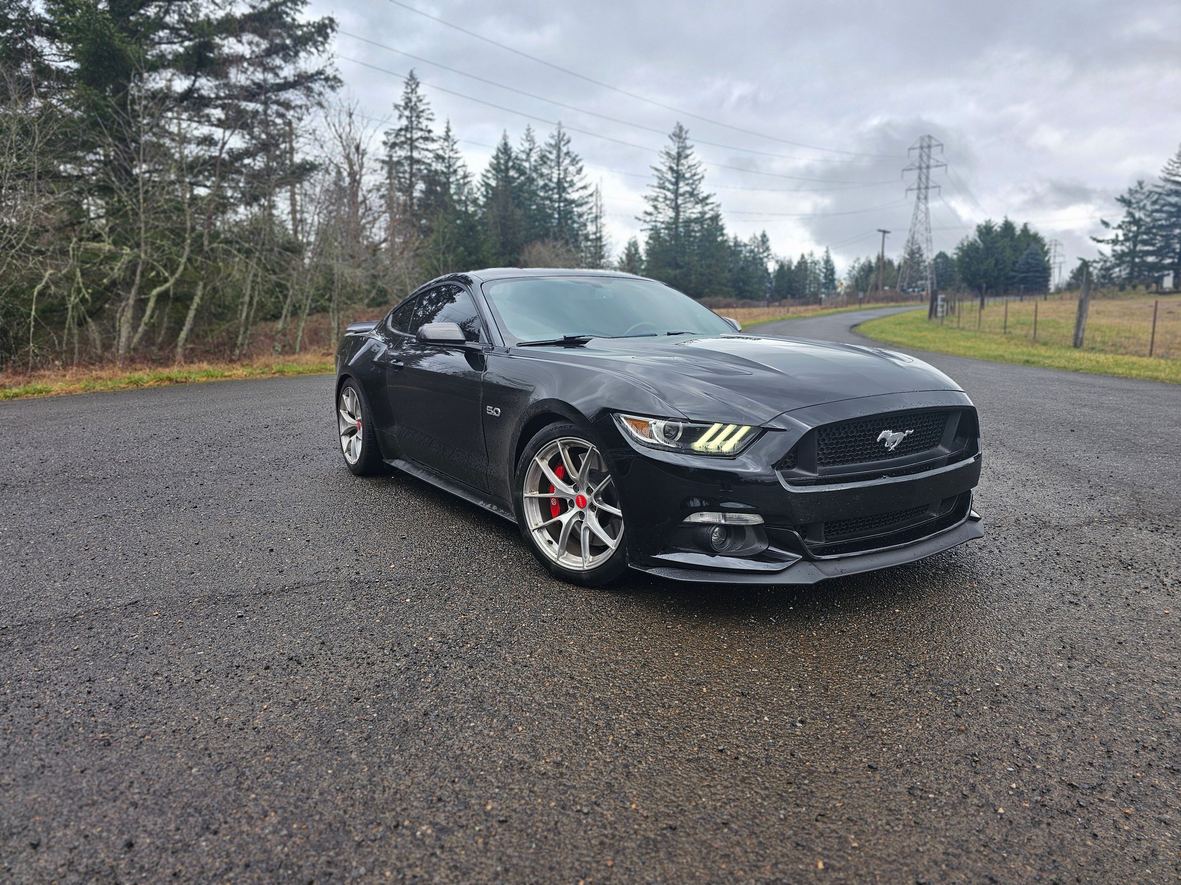 Black Ford Mustang - VS-5RS in Brushed Clear