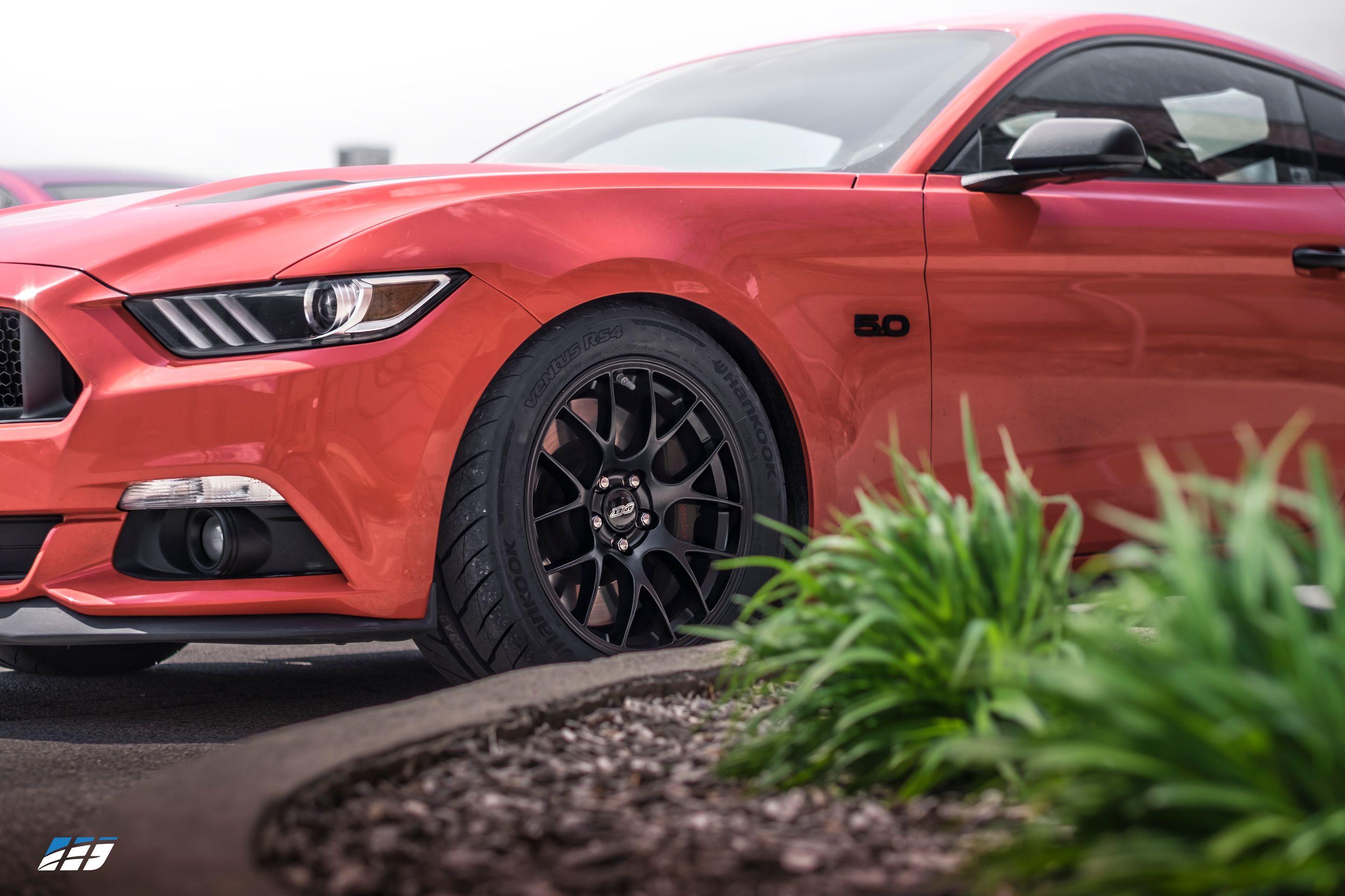Red Ford S550 Mustang GT with 18" EC-7 Apex wheels in Satin Black