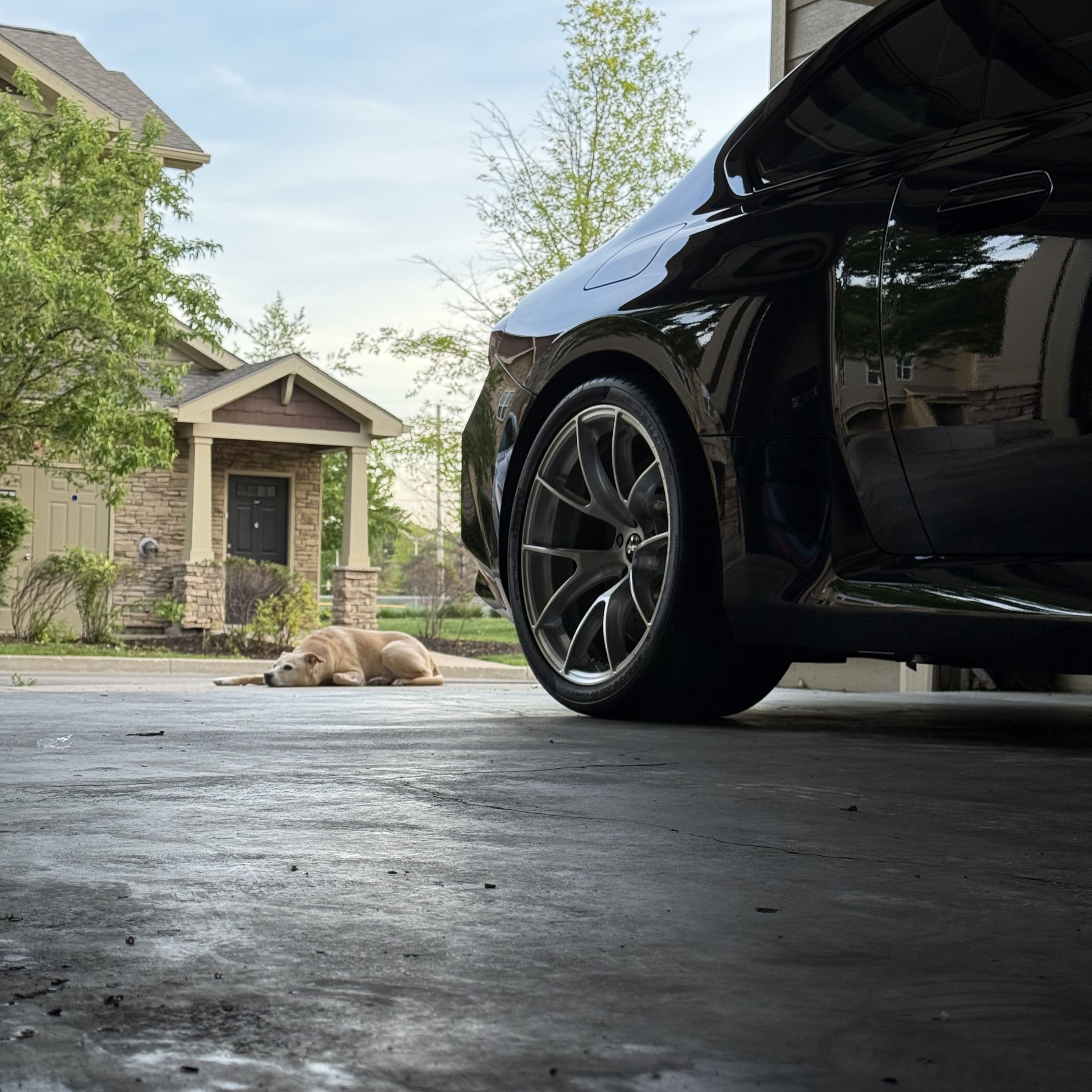 Black BMW G87 M2 with 19" VS-5RS Apex wheels in Brushed Clear