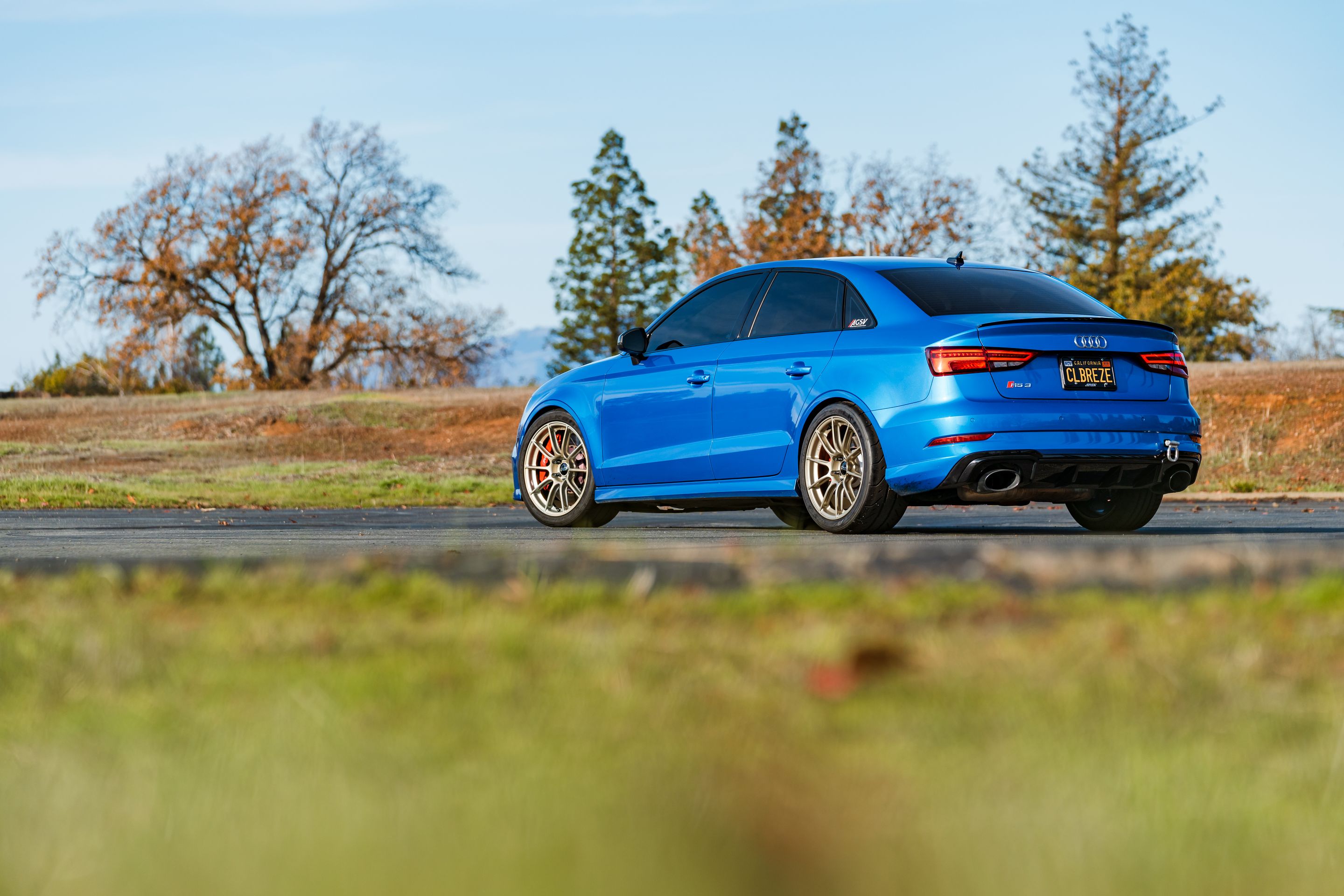 Blue Audi 8V RS 3 with 18" SM-10RS Apex wheels in Motorsport Gold