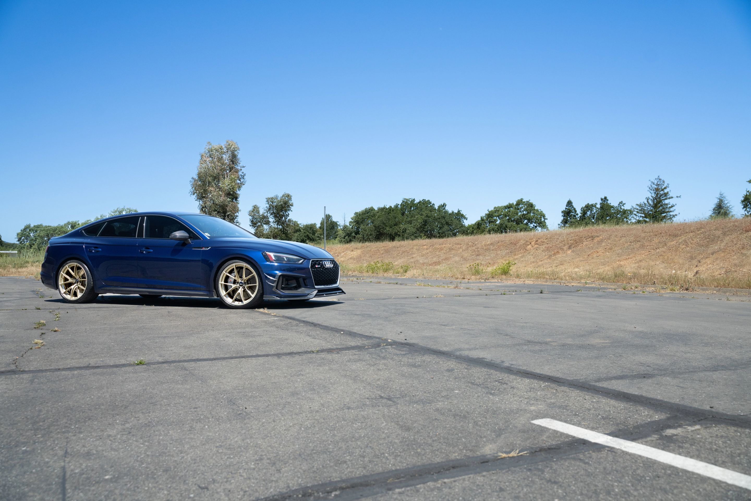 Blue Audi B9 RS 5 Sportback with 20" VS-5RS Apex wheels in Motorsport Gold