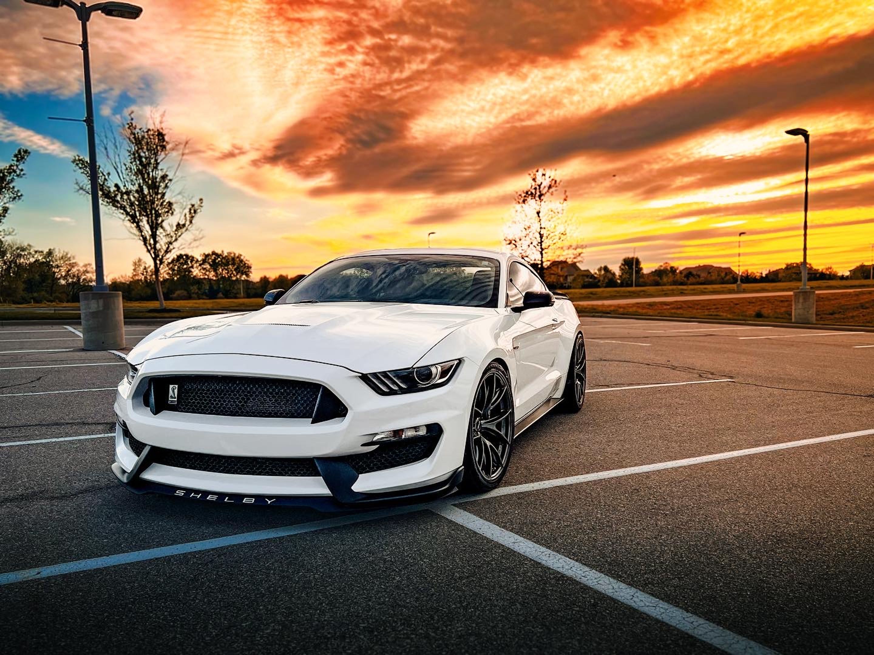 White Ford S550 Mustang GT350 with 20" VS-5RS Apex wheels in Anthracite