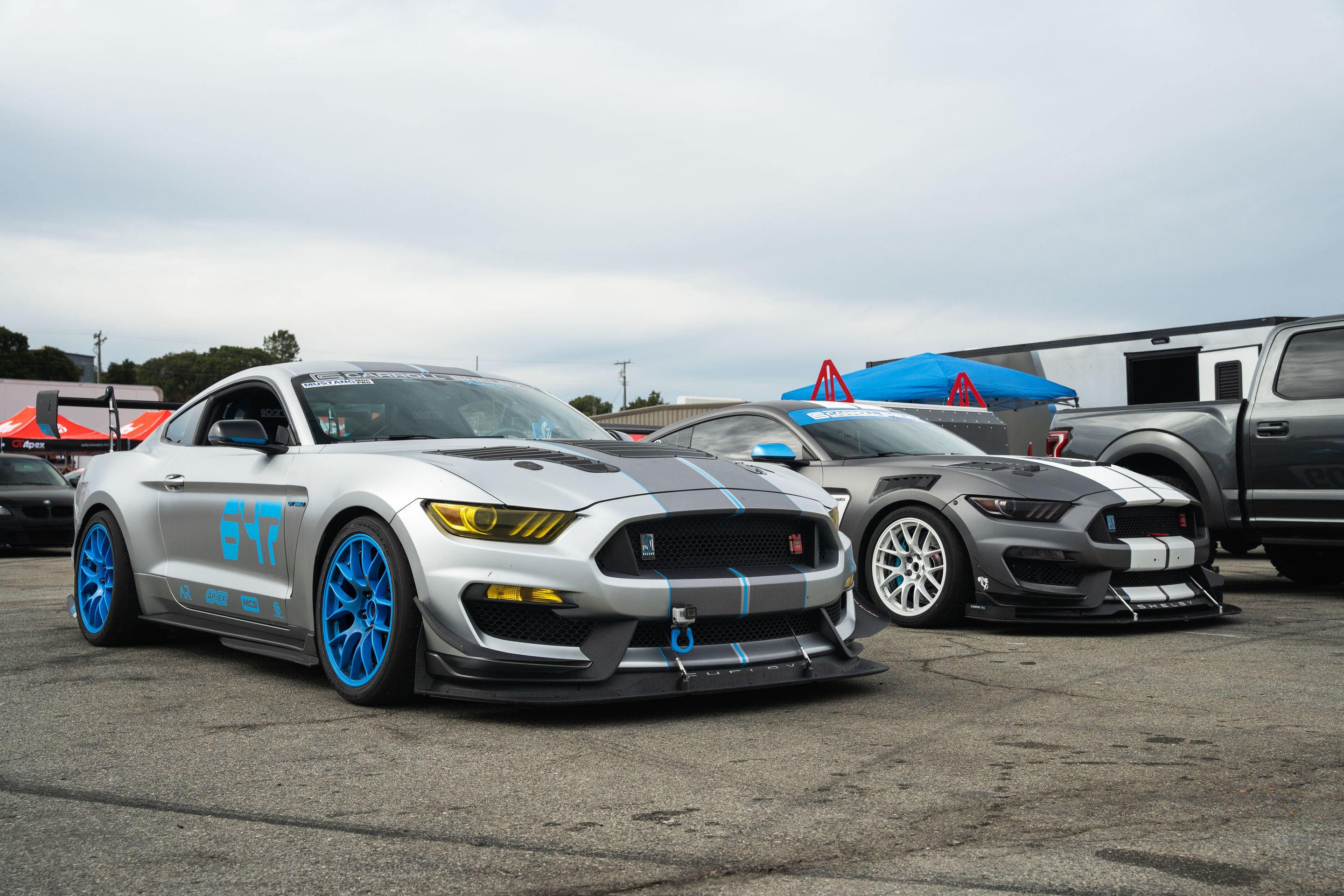 Silver Ford S550 Mustang GT350 with 19" EC-7 Apex wheels in Custom Finish