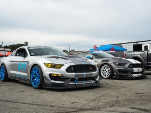 Silver Ford Mustang - EC-7 in Custom Finish