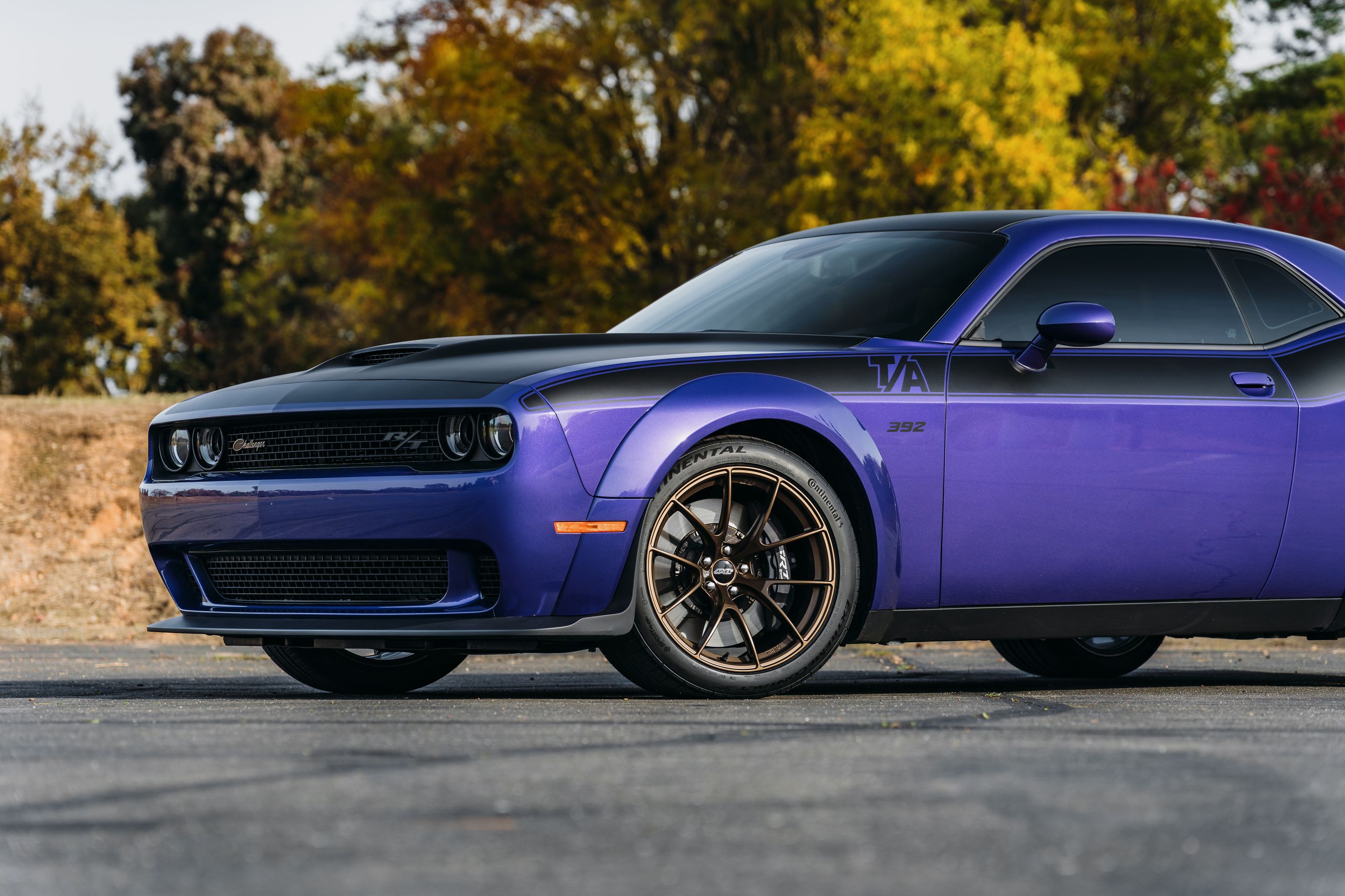 Purple Dodge Challenger R/T Scat Pack Widebody with 20" VS-5RS Apex wheels in Satin Bronze