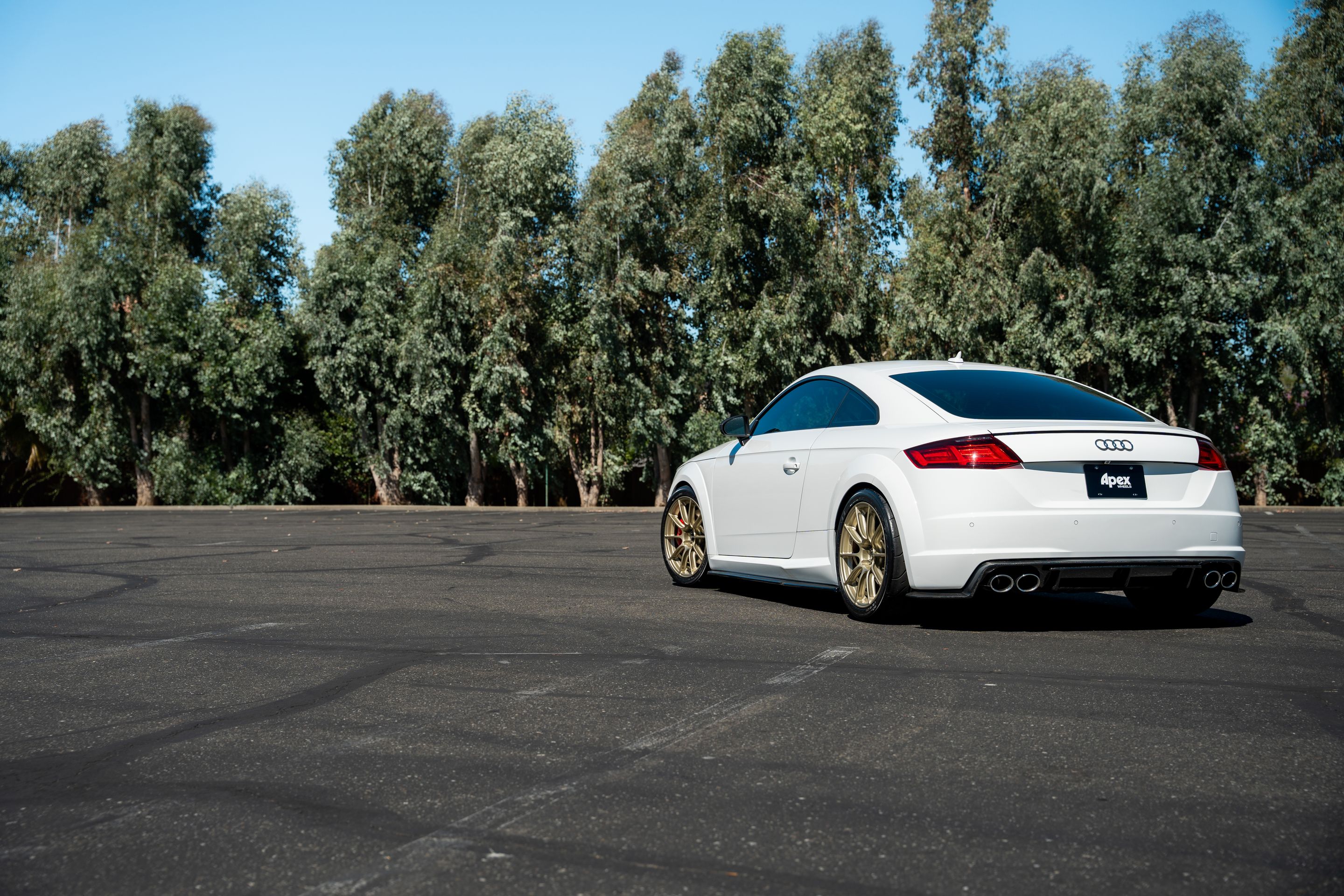 White Audi 8S TTS with 18" SM-10RS Apex wheels in Motorsport Gold
