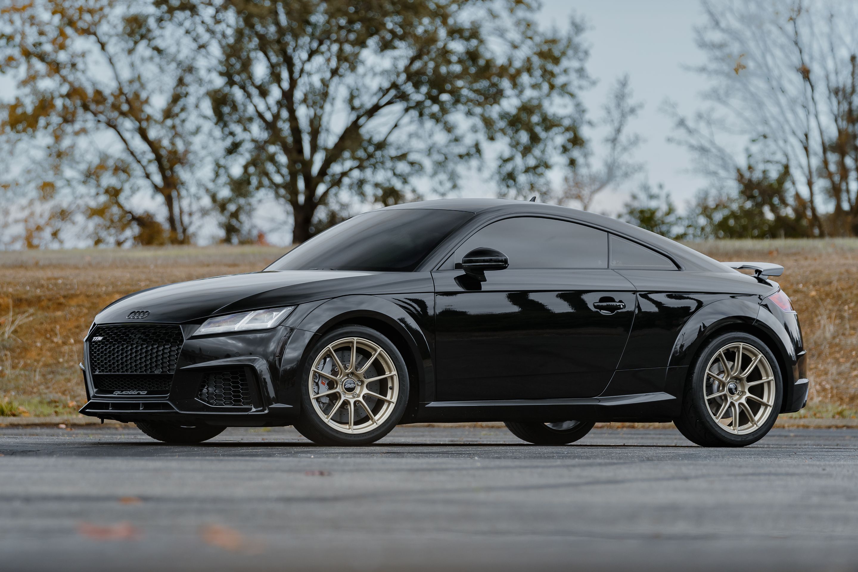 Black Audi FV/8S TT RS with 18" SM-10RS Apex wheels in Motorsport Gold