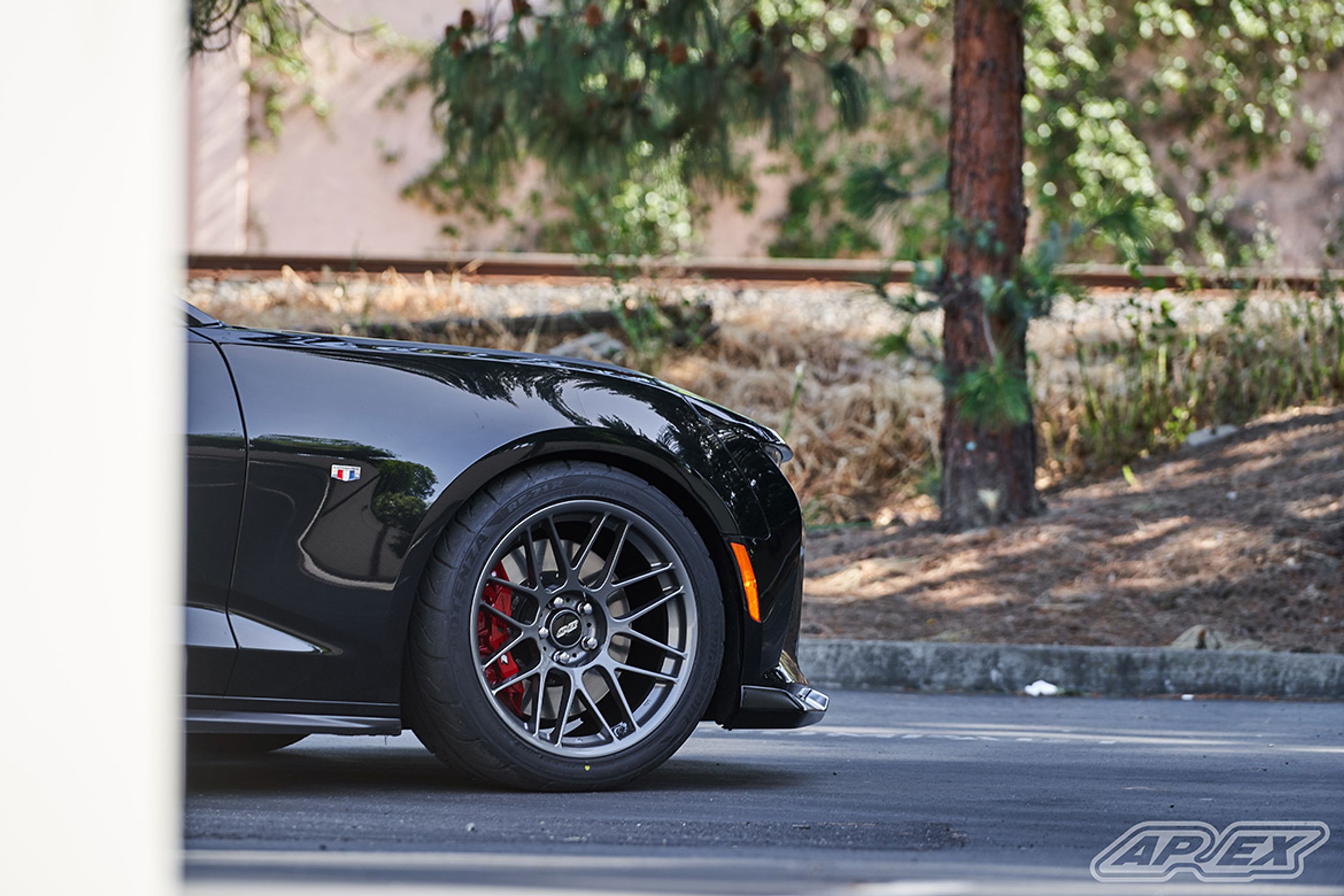 Black Chevrolet 6th Gen Camaro SS 1LE with 19" ARC-8 Apex wheels in Anthracite