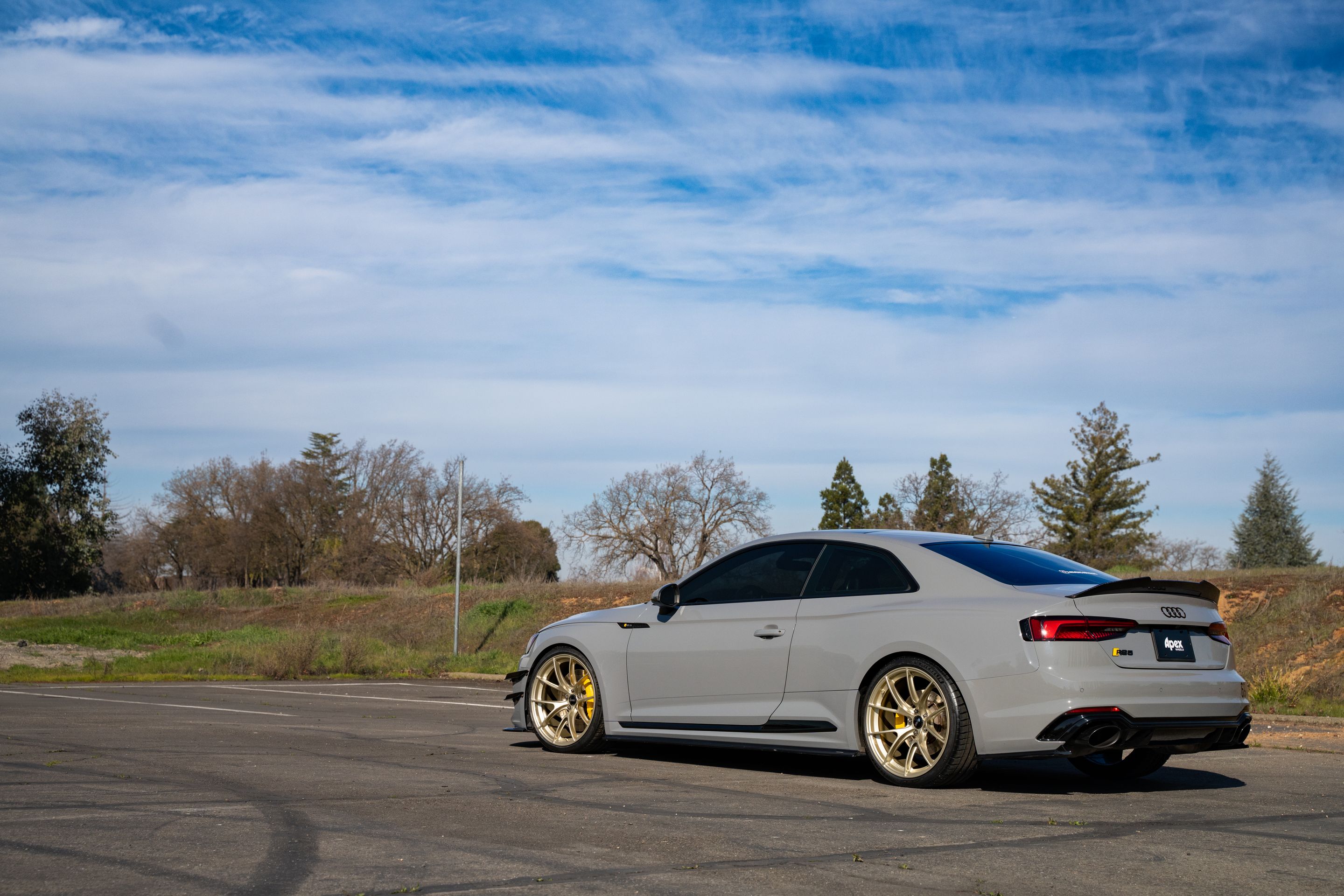 Grey Audi B9 RS 5 Coupe with 20" VS-5RS Apex wheels in Motorsport Gold