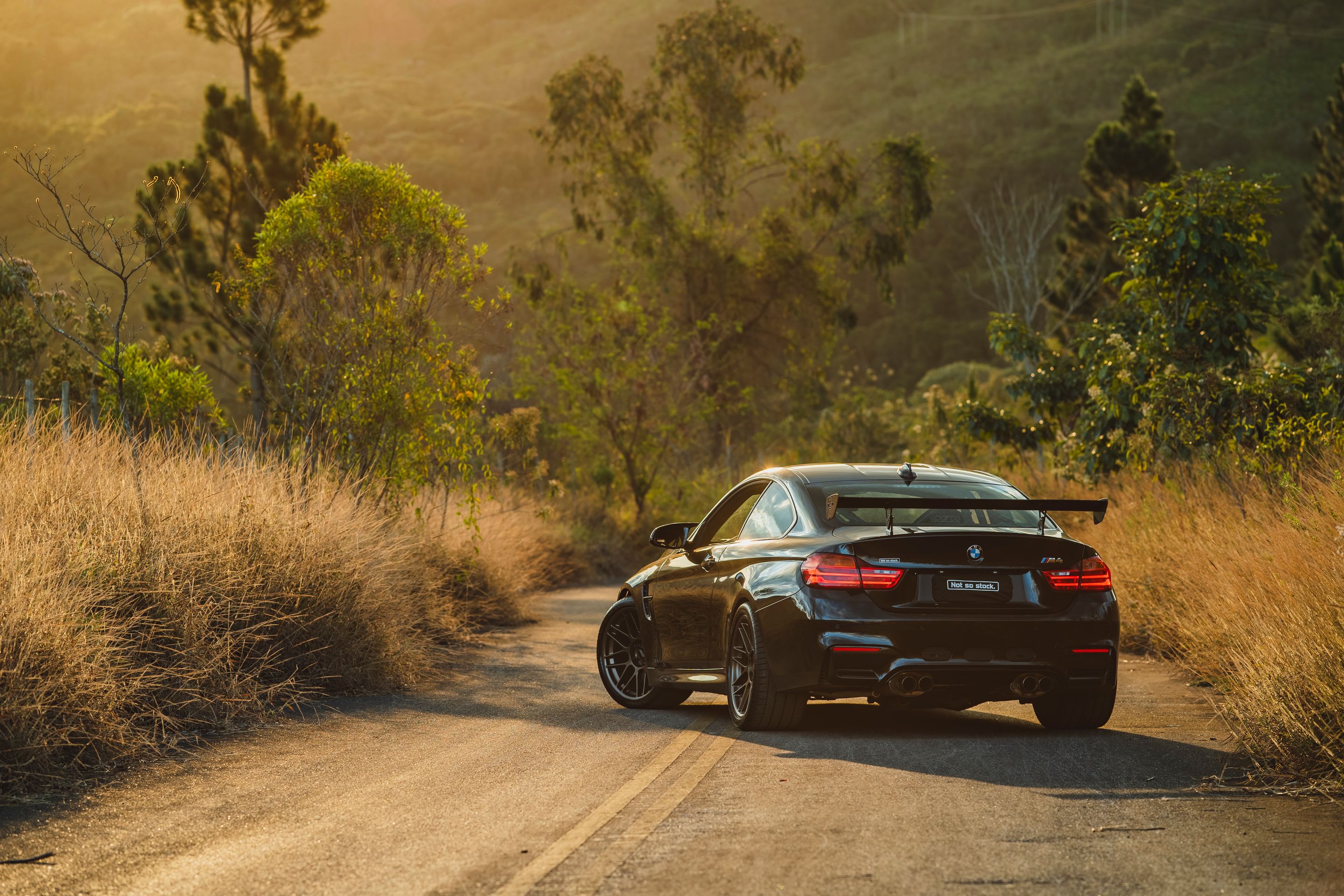 Black BMW F82 Coupe M4 with 19" ARC-8 Apex wheels in Satin Bronze