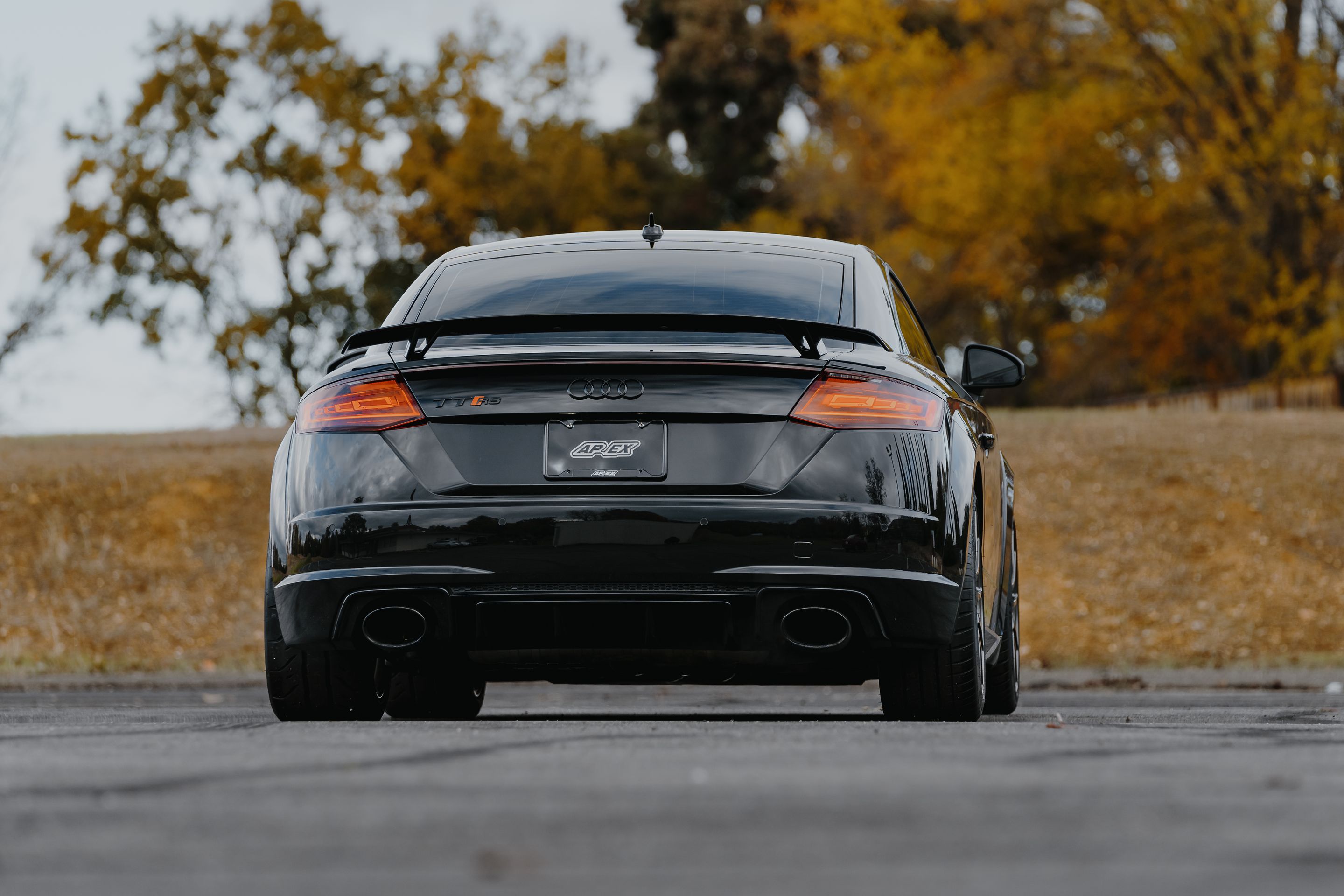 Black Audi FV/8S TT RS with 18" SM-10 Apex wheels in Anthracite