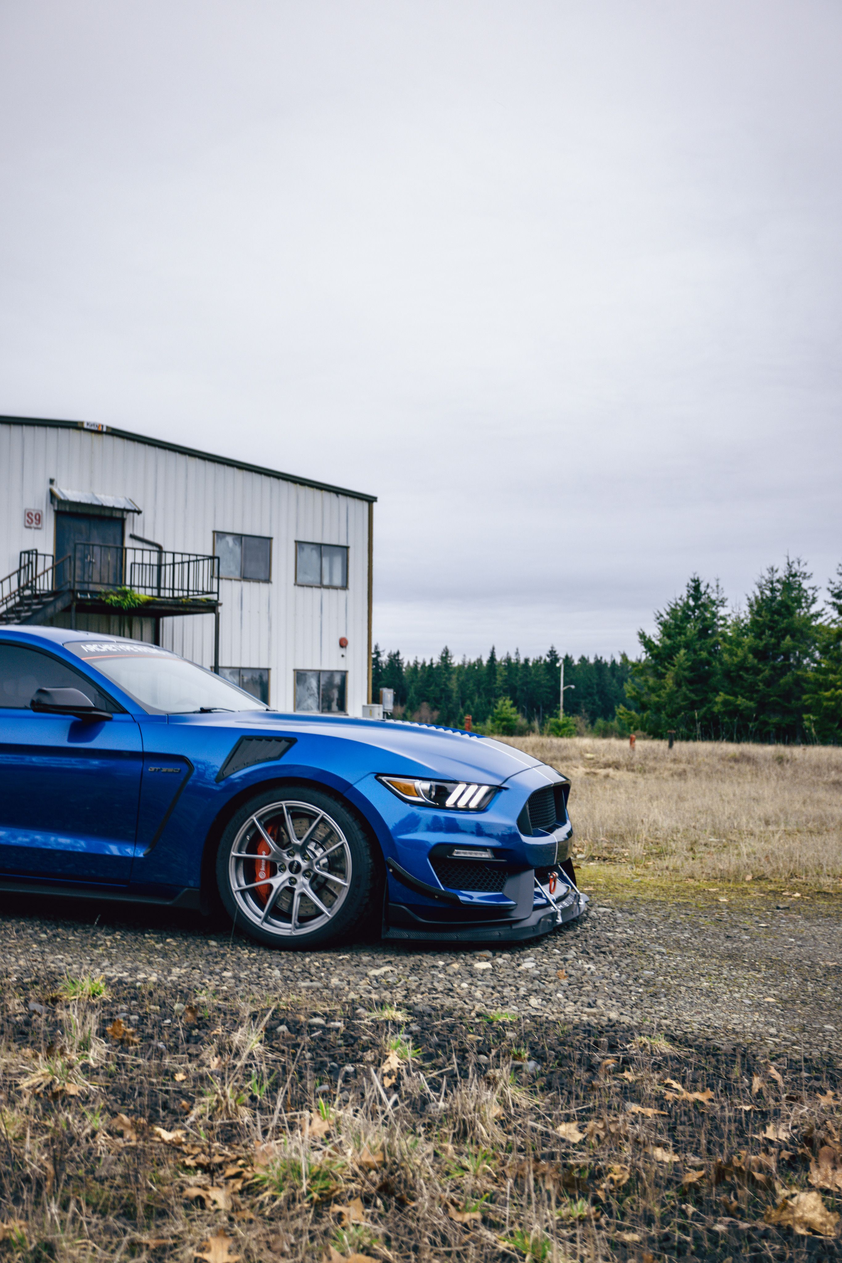 Blue Ford S550 Mustang GT350 with 19" VS-5RS Apex wheels in Brushed Clear