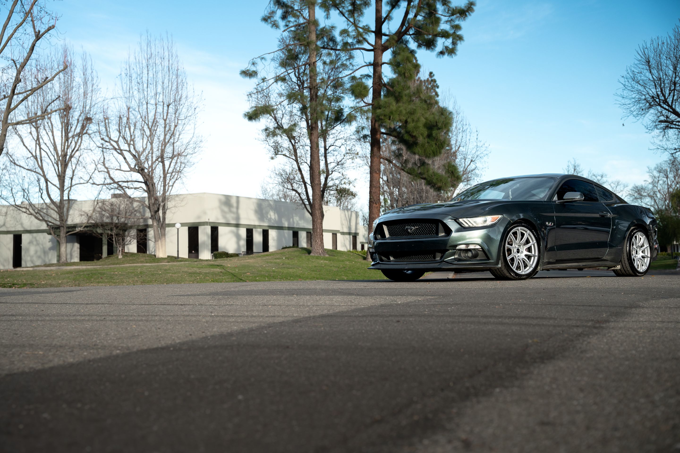 Green Ford S550 Mustang GT with 19" SM-10 Apex wheels in Race Silver