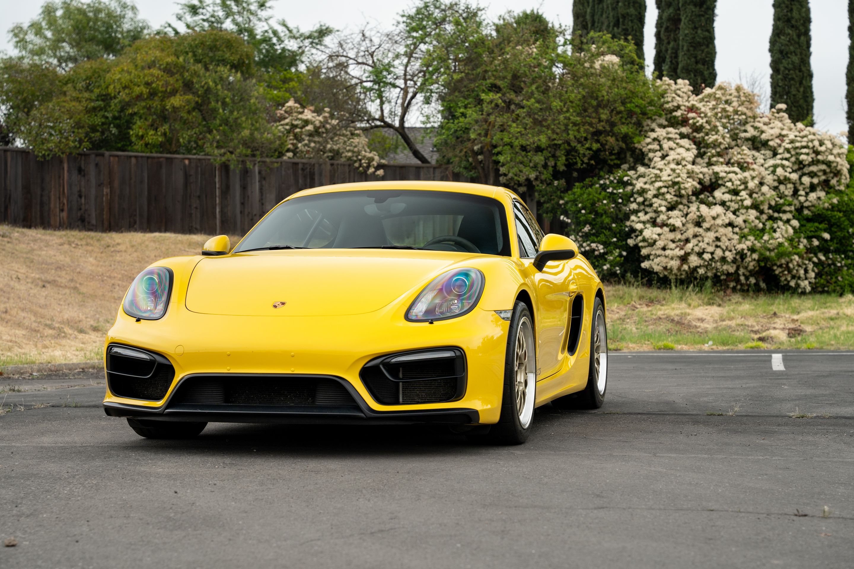 Yellow Porsche 981 Cayman GTS with 18" ML-10RT Apex wheels in Machined Lip Gloss Motorsport Gold