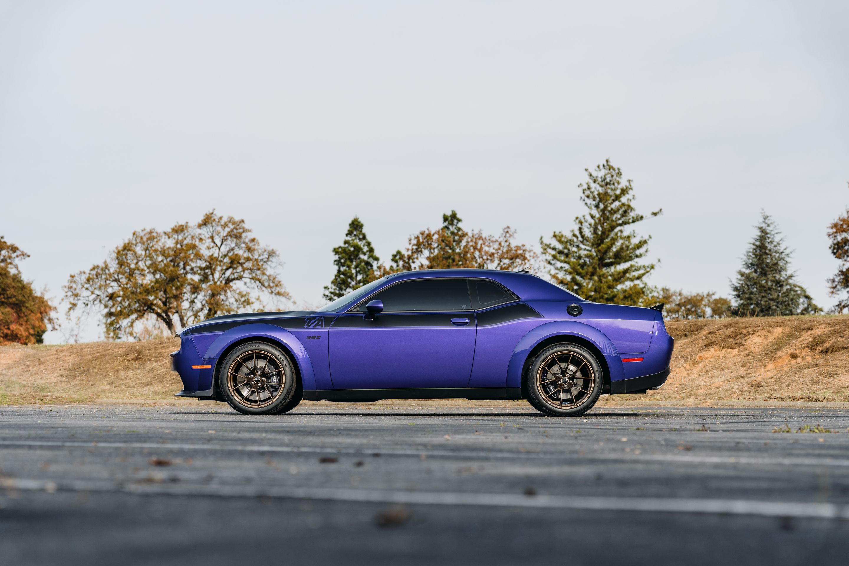 Purple Dodge Challenger R/T Scat Pack Widebody with 20" VS-5RS Apex wheels in Satin Bronze
