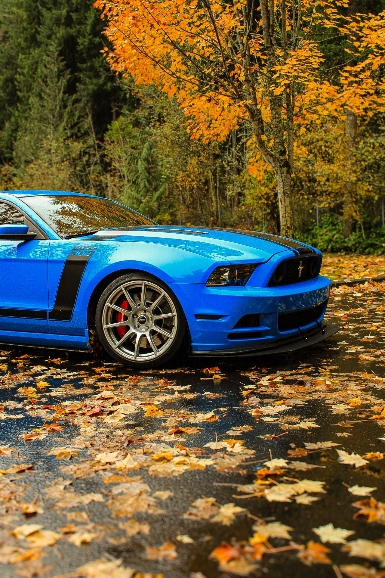 Blue Ford S197 Mustang Boss 302 with 19" SM-10 Apex wheels in Race Silver
