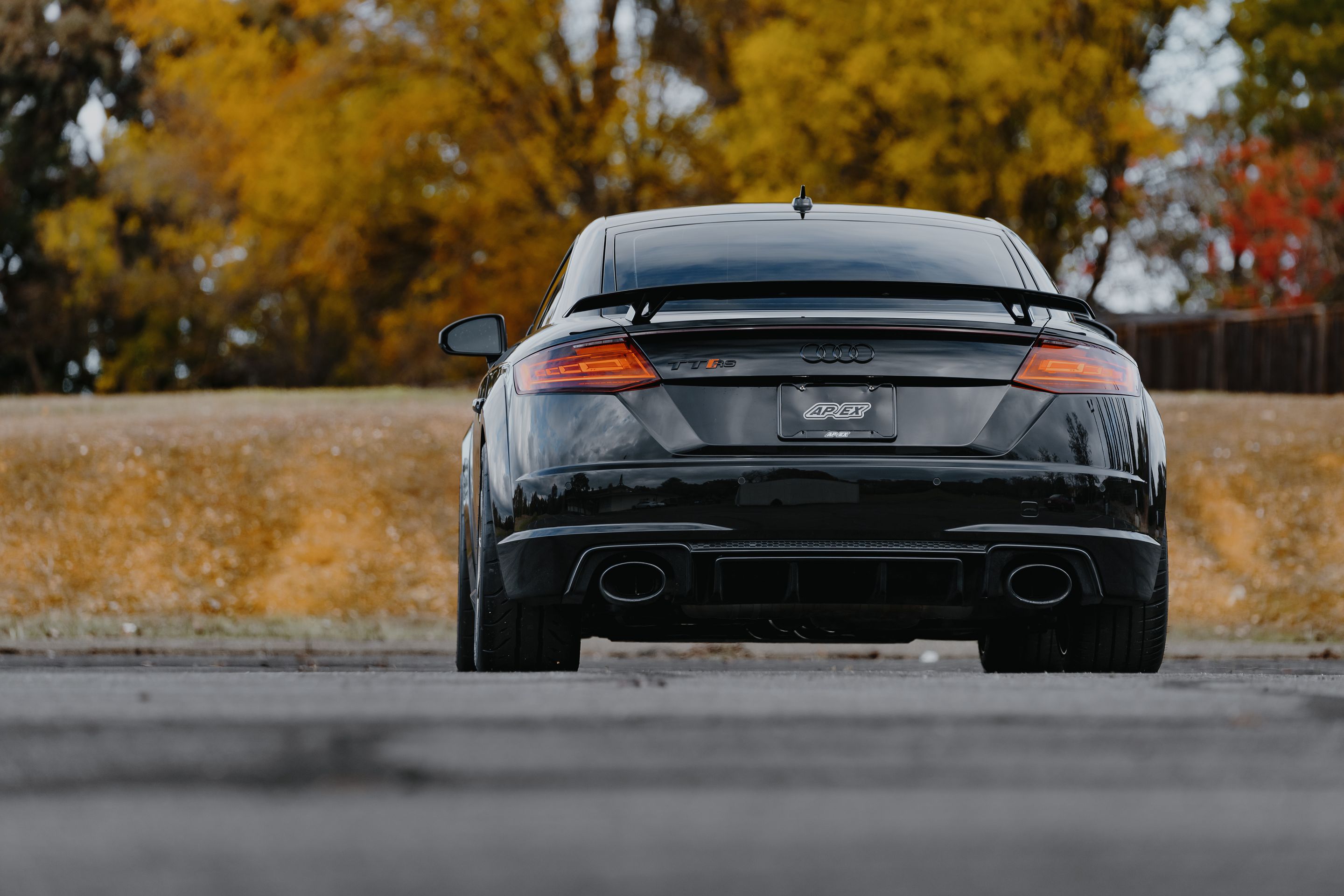 Black Audi FV/8S TT RS with 18" SM-10RS Apex wheels in Motorsport Gold
