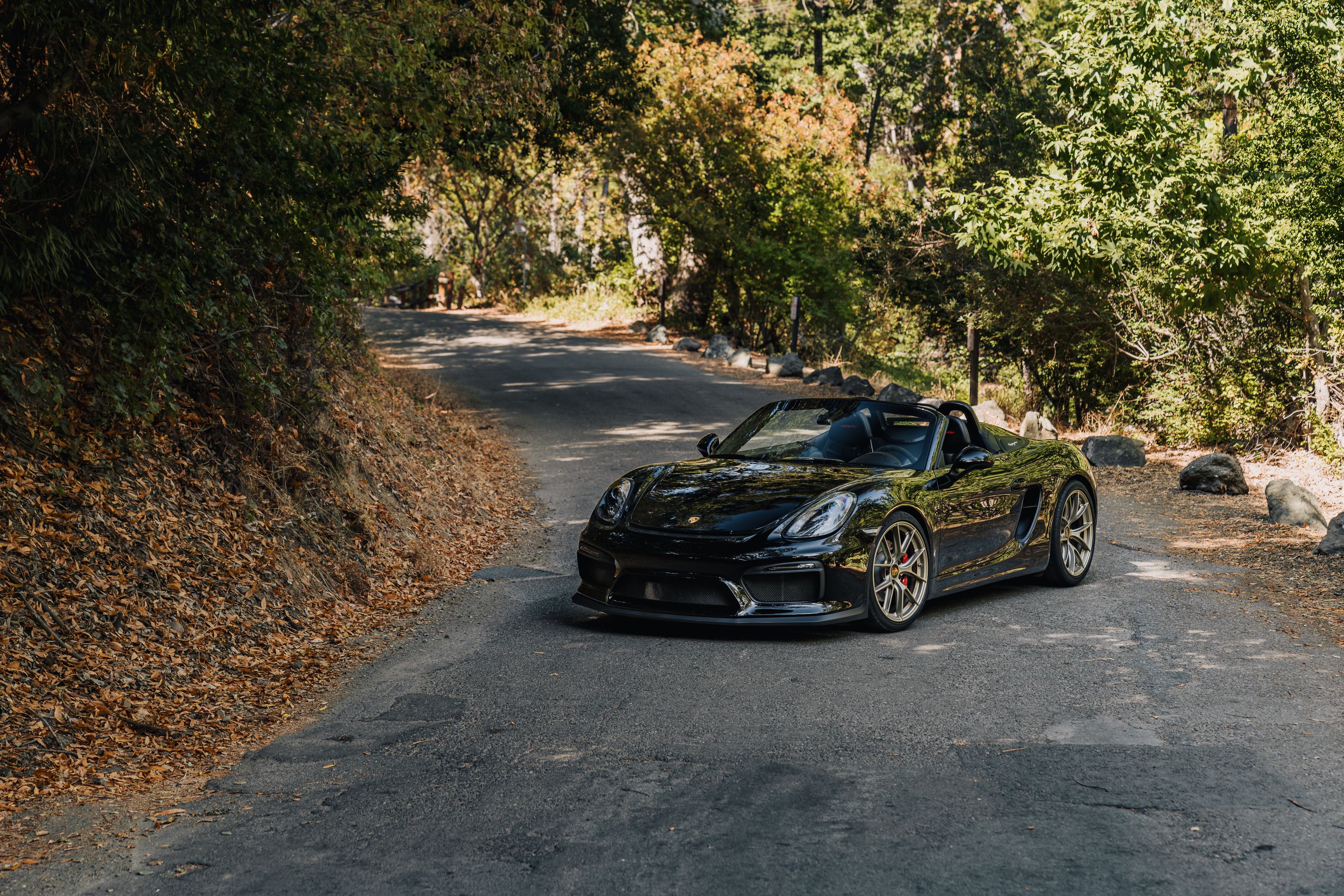 Black Porsche 981 Spyder with 20" VS-5RS Apex wheels in Motorsport Gold