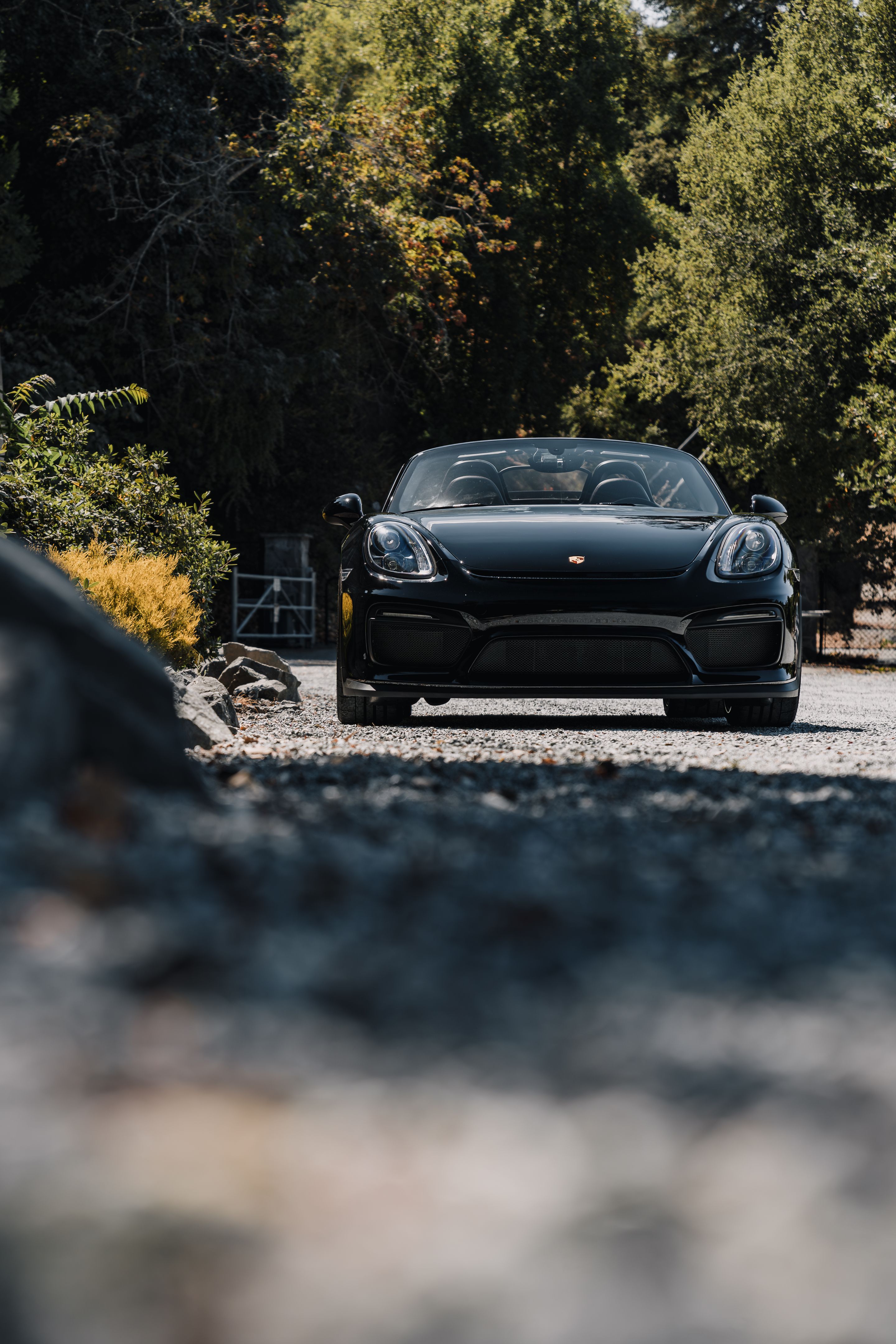 Black Porsche 981 Spyder with 20" VS-5RS Apex wheels in Motorsport Gold