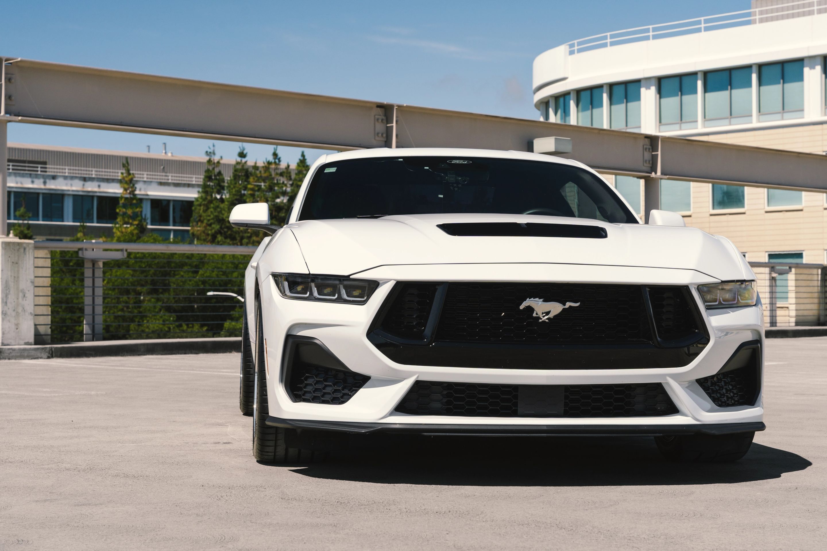 White Ford S650 Mustang GT with 19" ML-10RT Apex wheels in Machined Lip Brushed Clear