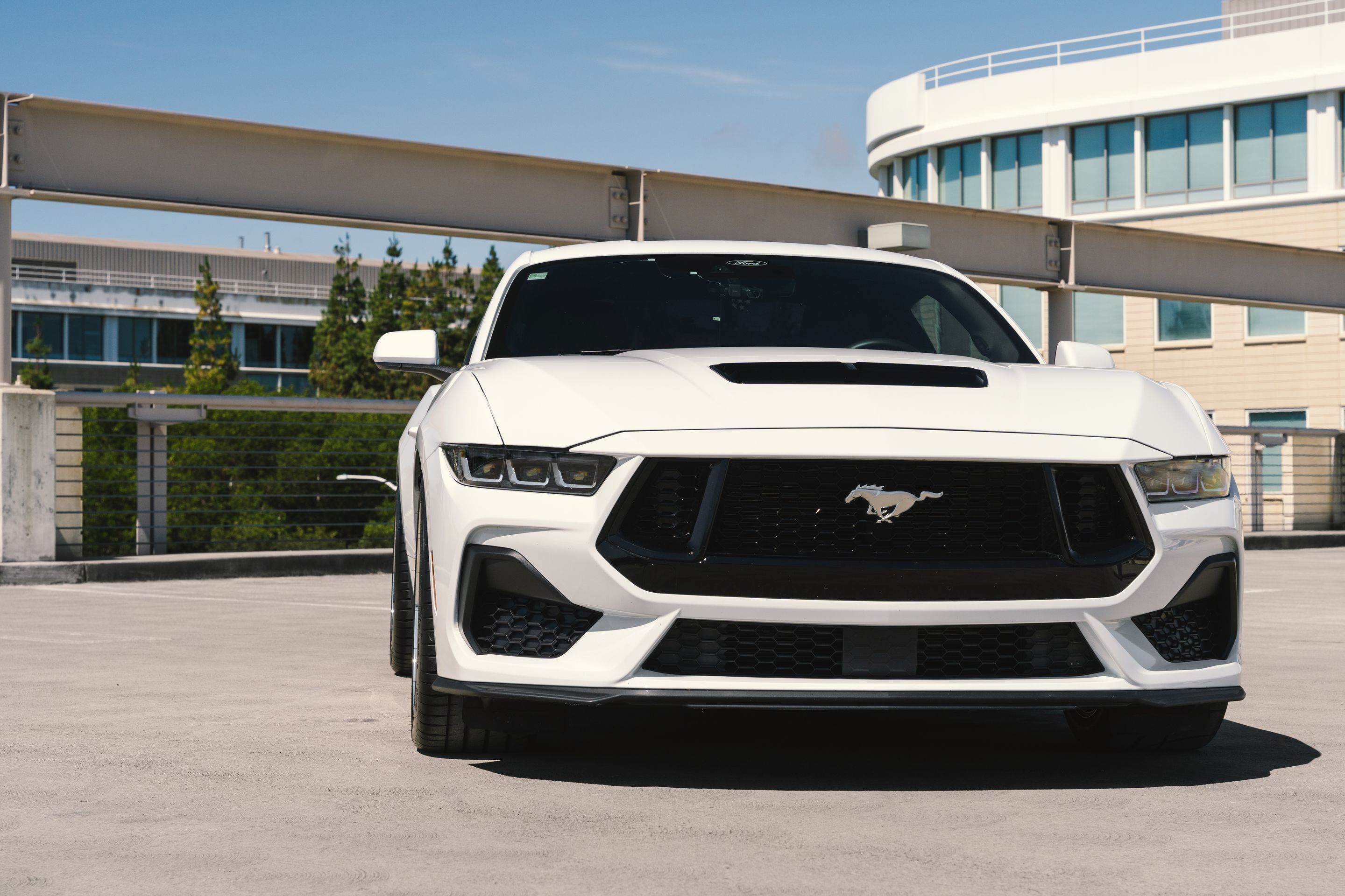 White Ford S650 Mustang GT with 19" ML-10RT Apex wheels in Machined Lip Brushed Clear