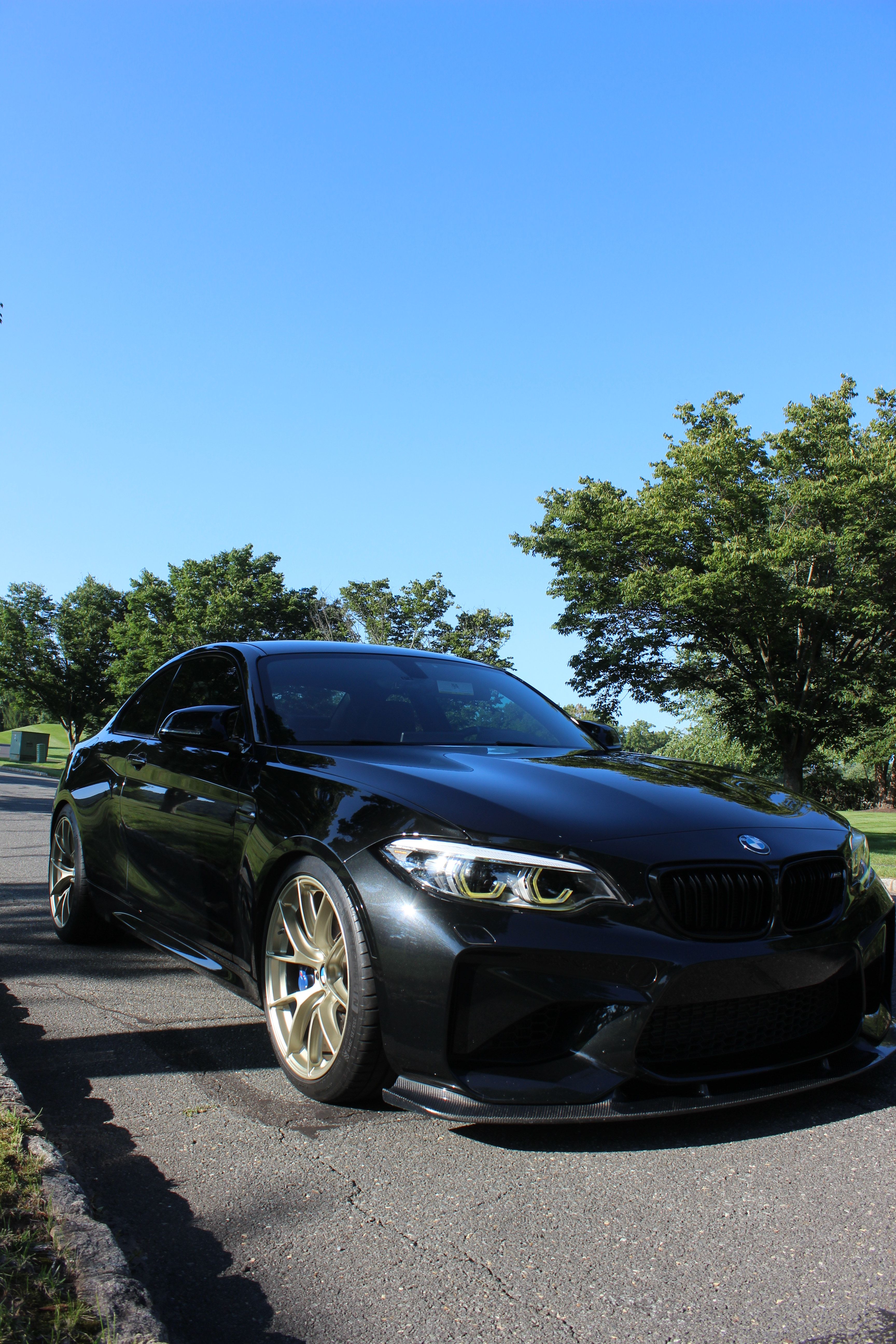 Black BMW F87 M2 with 19" VS-5RS Apex wheels in Motorsport Gold