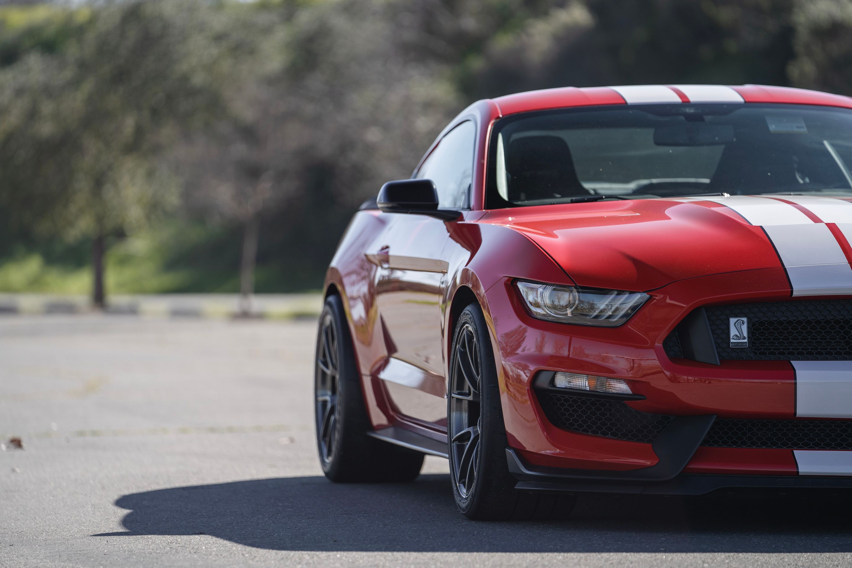 Red Ford S550 Mustang GT350 with 19" VS-5RS Apex wheels in Anthracite