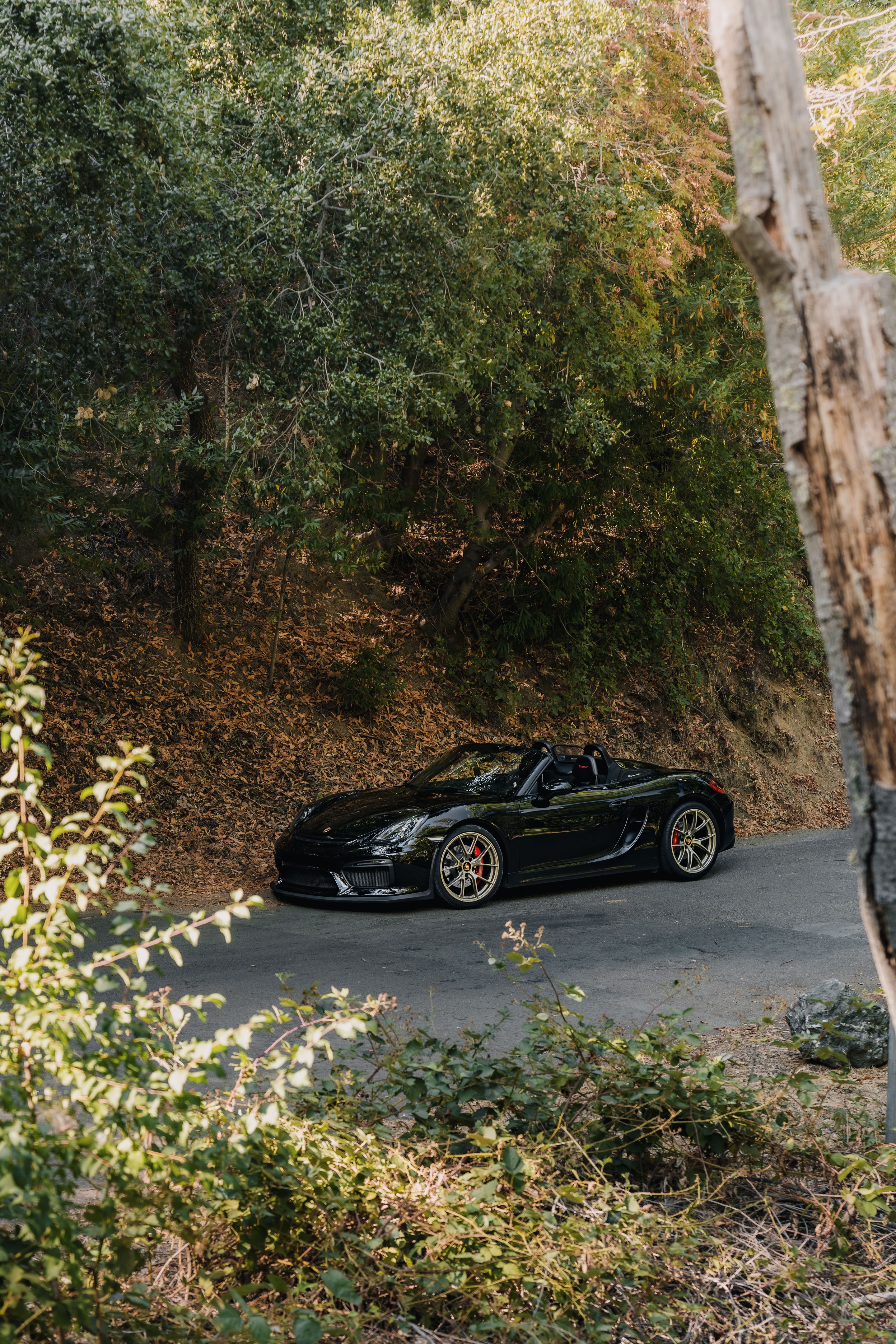 Black Porsche 981 Spyder with 20" VS-5RS Apex wheels in Motorsport Gold