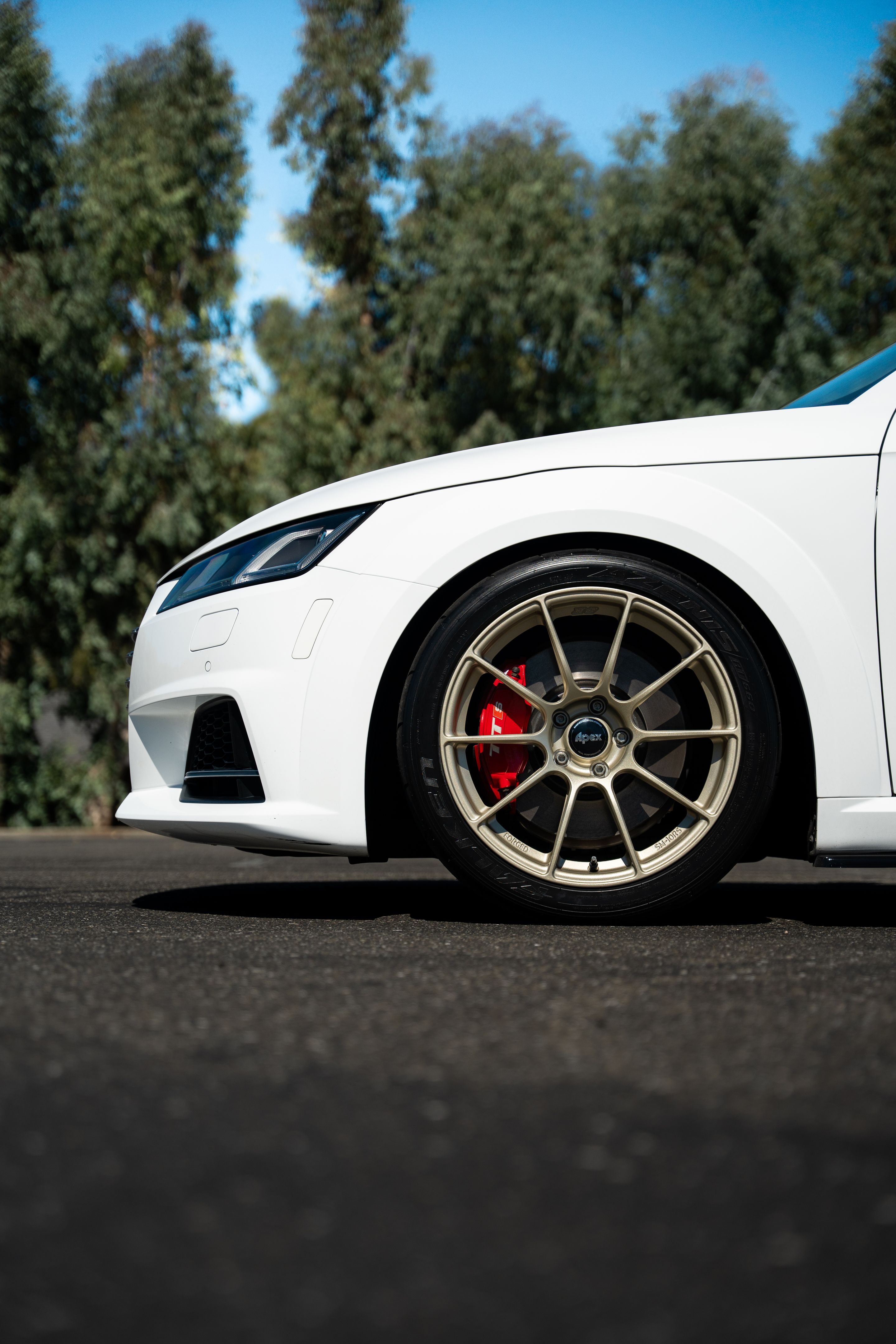 White Audi 8S TTS with 18" SM-10RS Apex wheels in Motorsport Gold