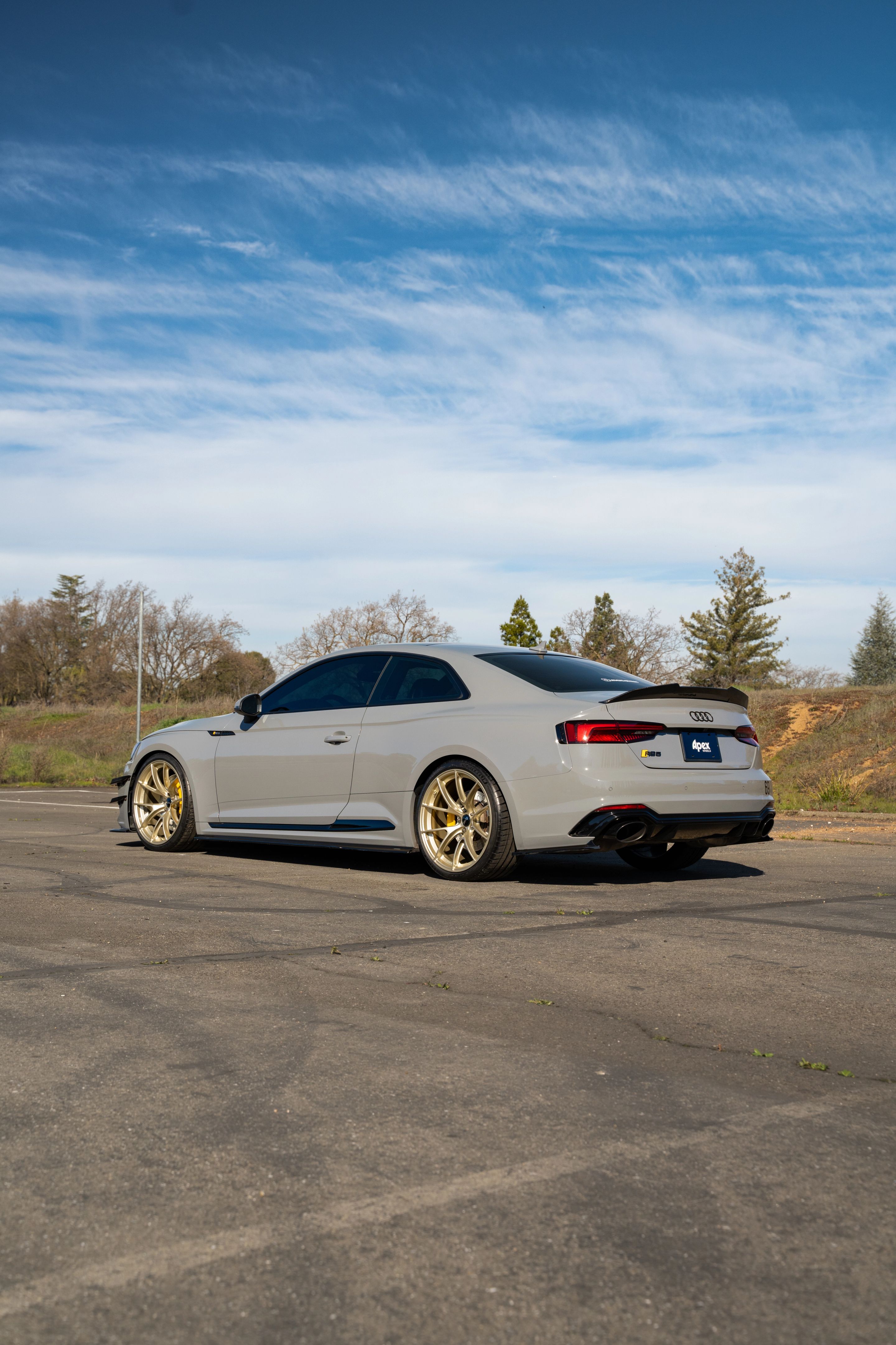Grey Audi B9 RS 5 Coupe with 20" VS-5RS Apex wheels in Motorsport Gold