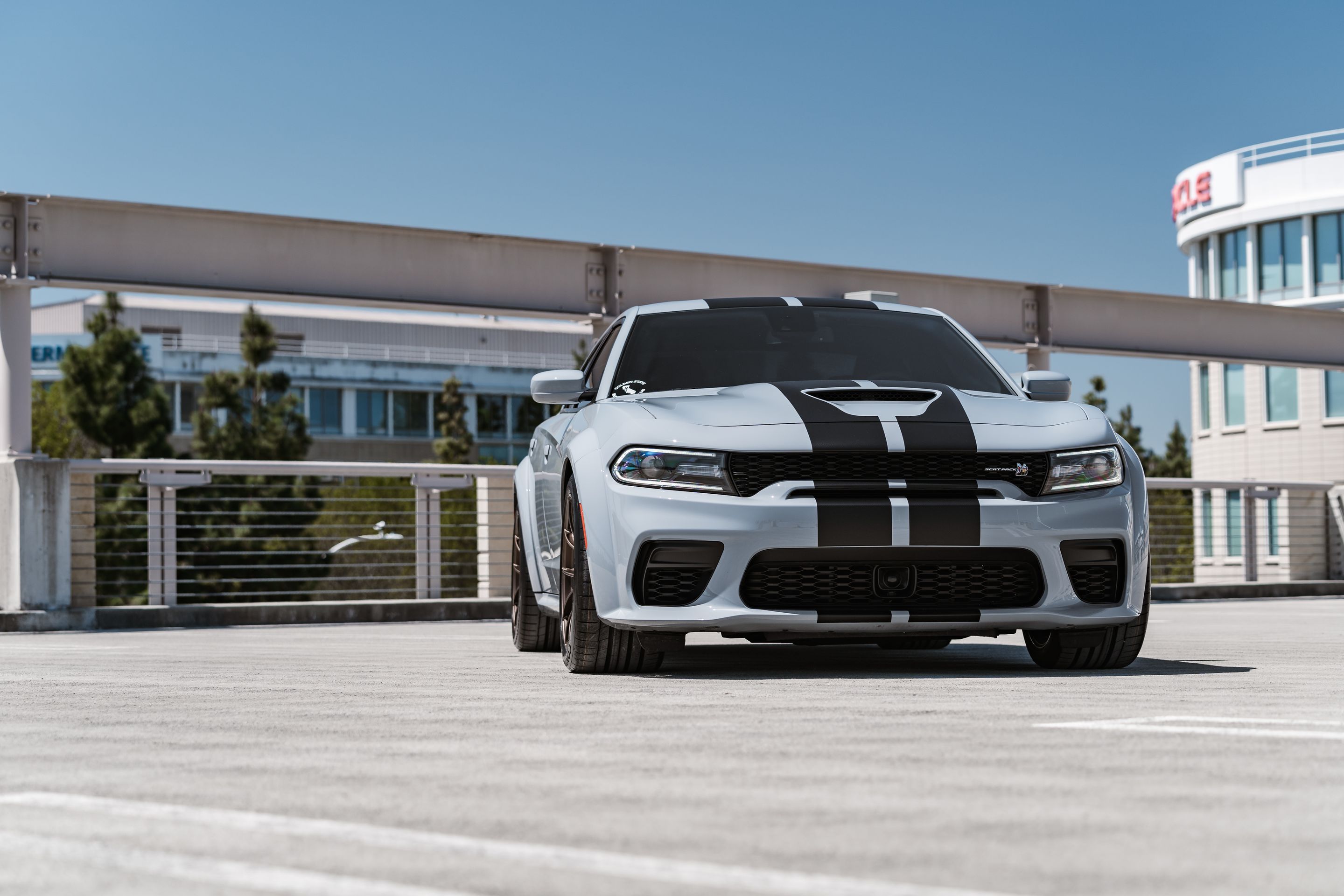 Grey Dodge Charger Scat Pack Widebody with 20" VS-5RS Apex wheels in Satin Bronze