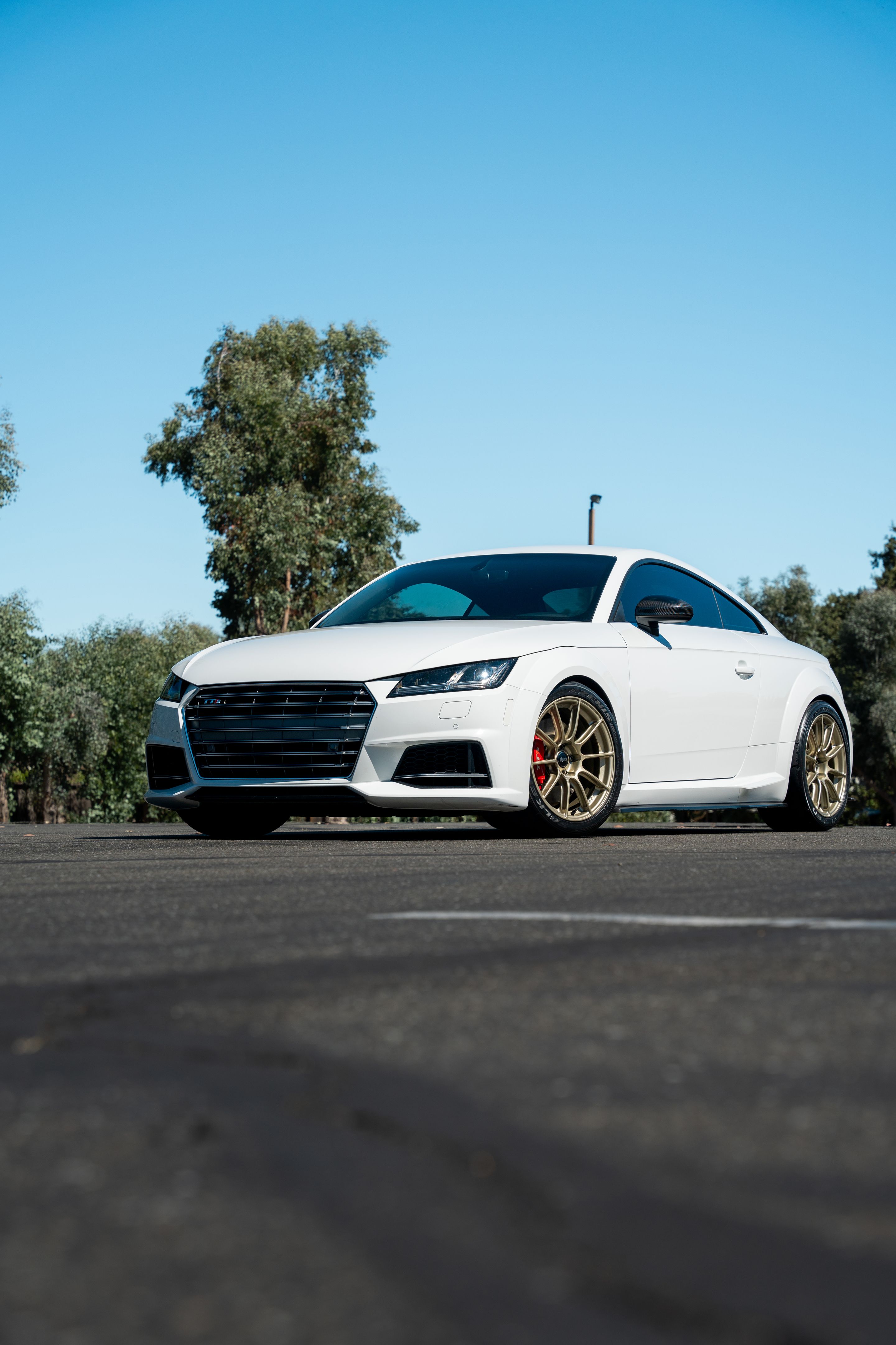 White Audi 8S TTS with 18" SM-10RS Apex wheels in Motorsport Gold