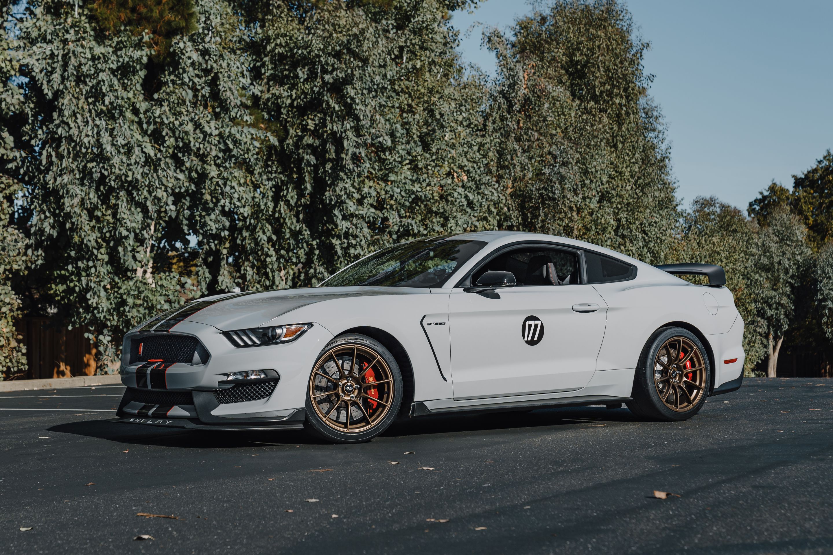 Grey Ford S550 Mustang GT350R with 19" SM-10RS Apex wheels in Satin Bronze