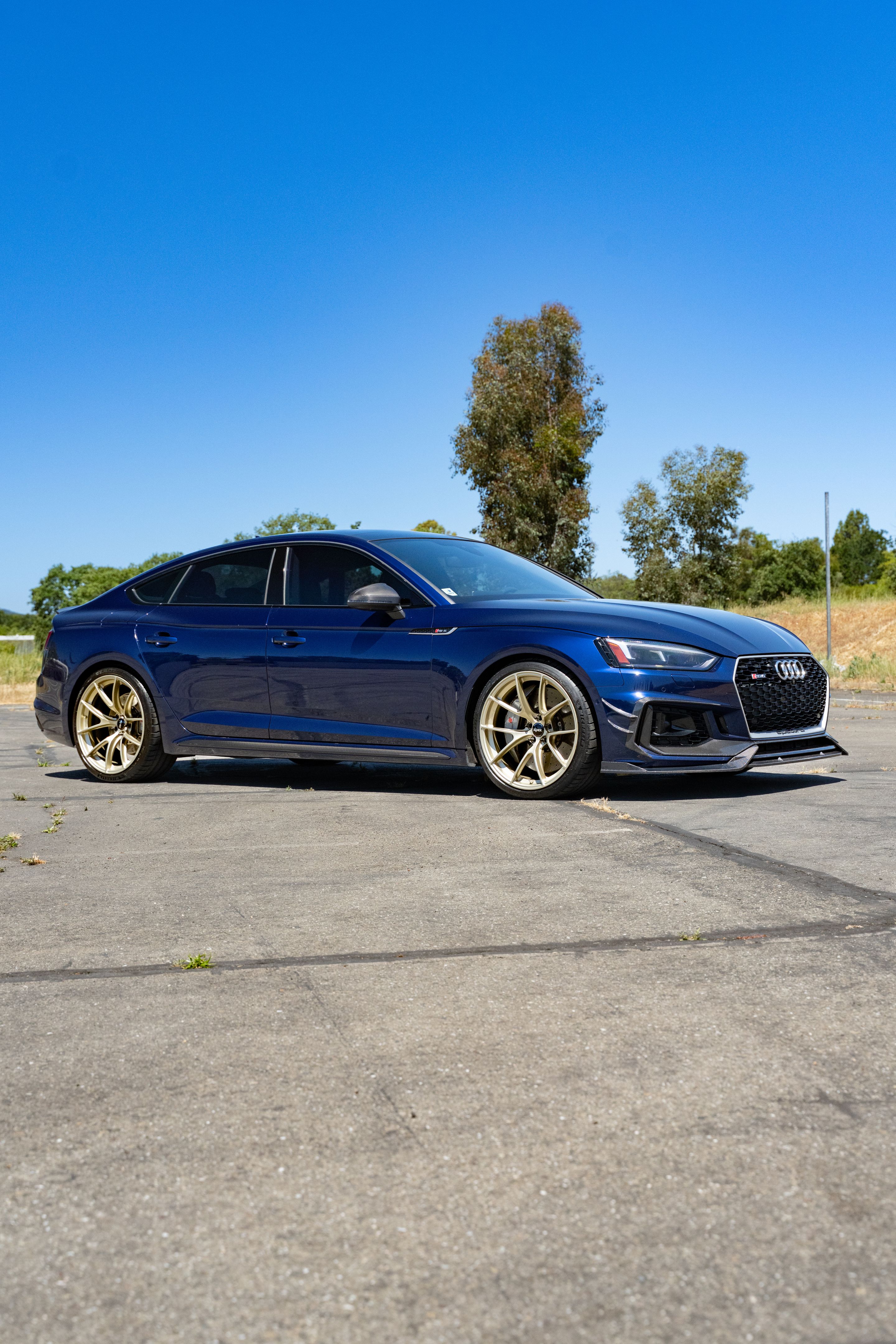 Blue Audi B9 RS 5 Sportback with 20" VS-5RS Apex wheels in Motorsport Gold