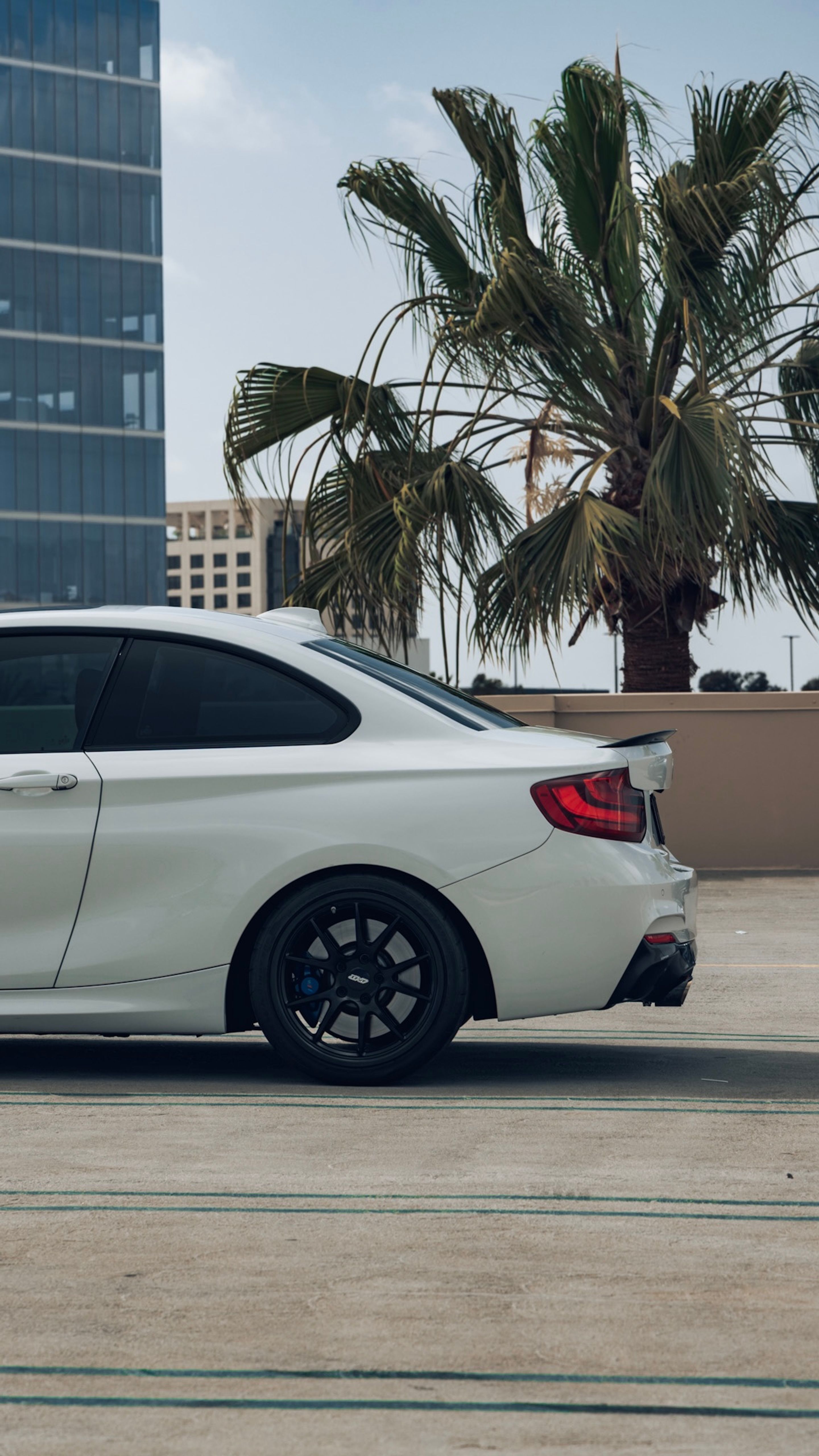 White BMW F22 Coupe 2 Series with 18" FL-5 Apex wheels in Satin Black