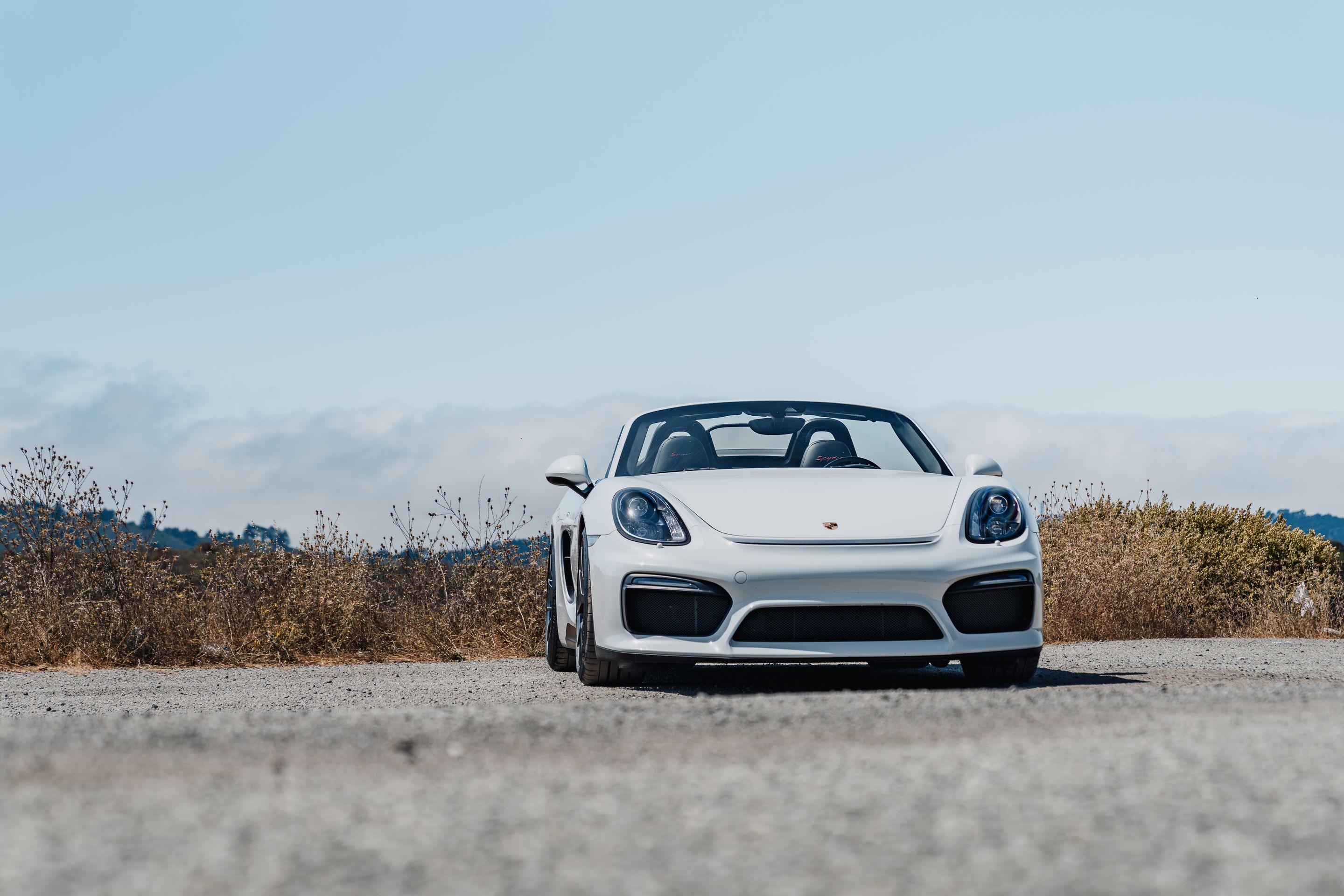 White Porsche 981 Spyder with 19" VS-5RS Apex wheels in Anthracite