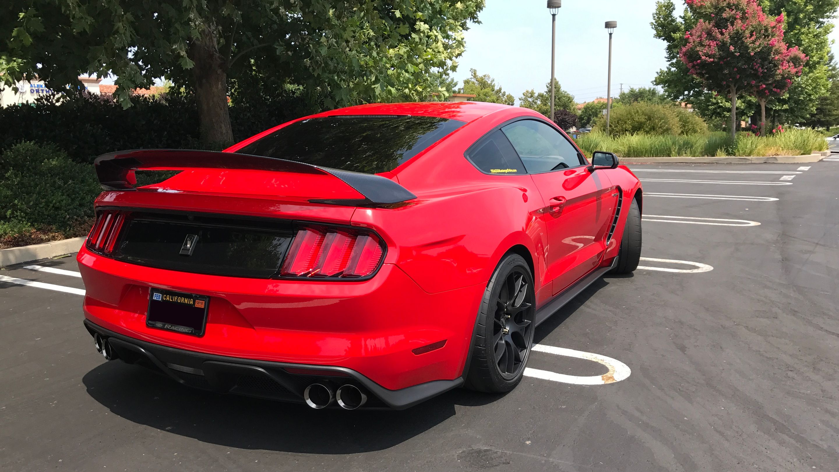 Red Ford S550 Mustang GT350 with 19" EC-7 Apex wheels in Satin Black