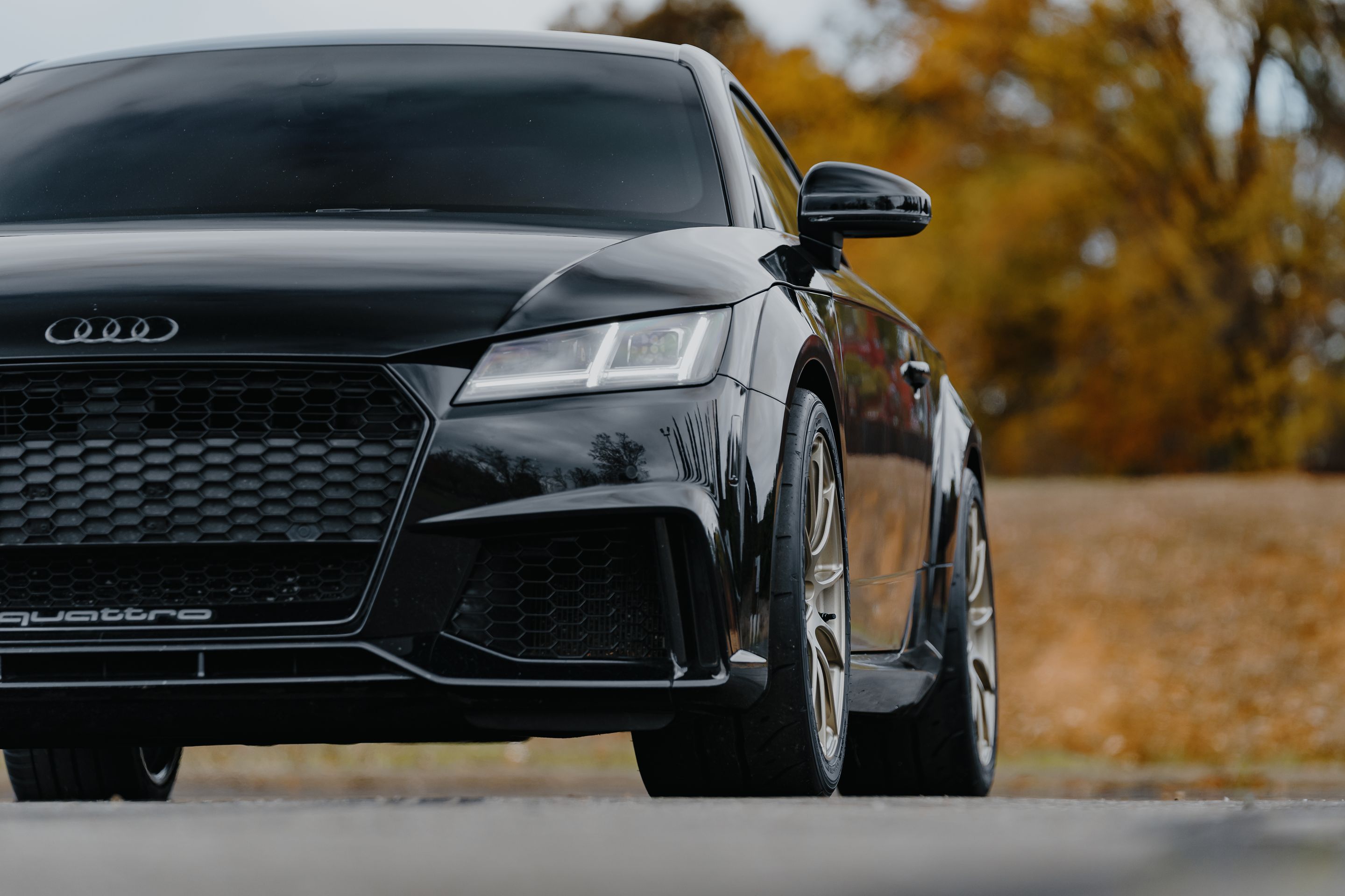 Black Audi FV/8S TT RS with 18" SM-10RS Apex wheels in Motorsport Gold