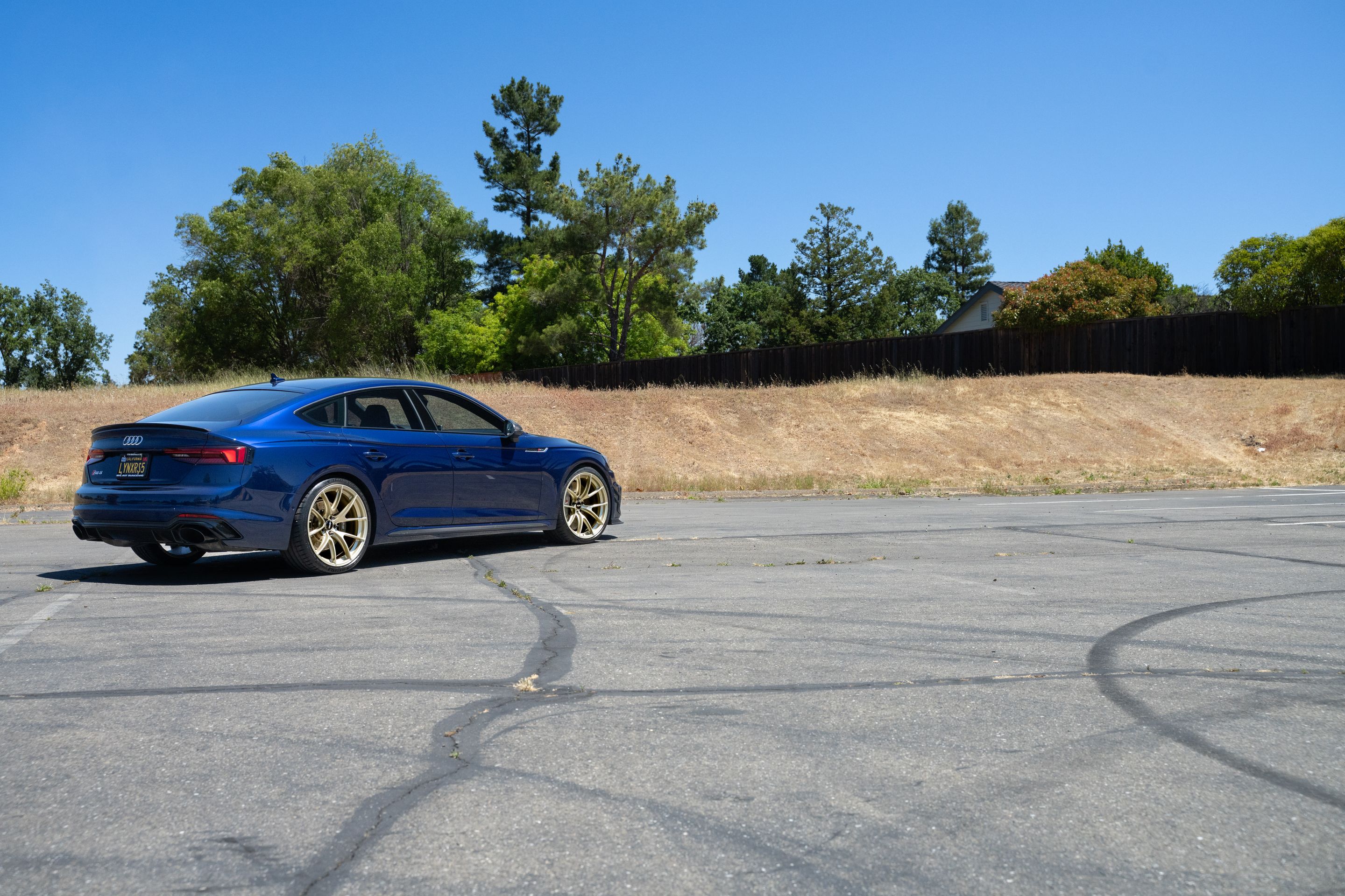 Blue Audi B9 RS 5 Sportback with 20" VS-5RS Apex wheels in Motorsport Gold